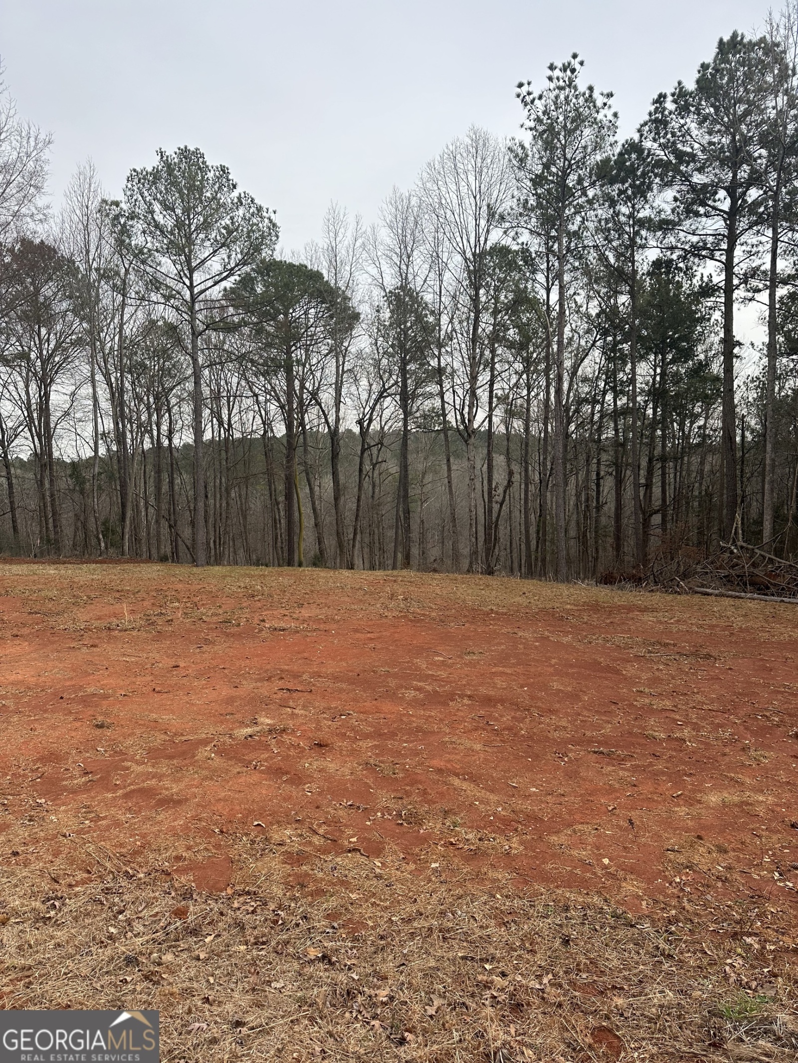 0 Whatley North Road, LaGrange, Georgia 30240, ,Land,For Sale,Whatley North,9137948