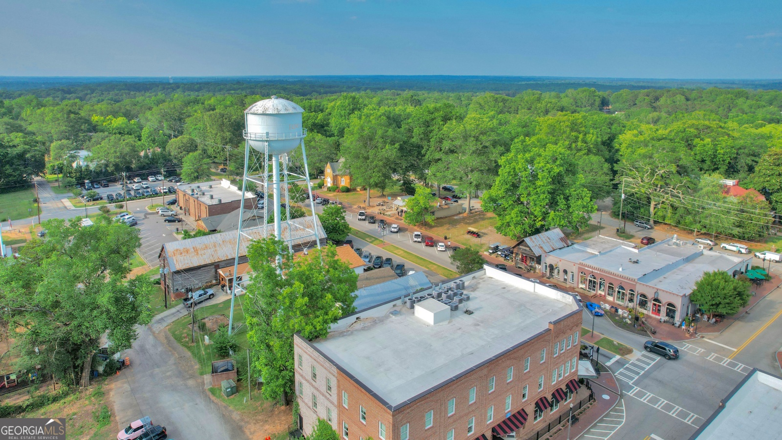 501 Padgett Road, Senoia, Georgia 30276, ,Land,For Sale,Padgett,9137986