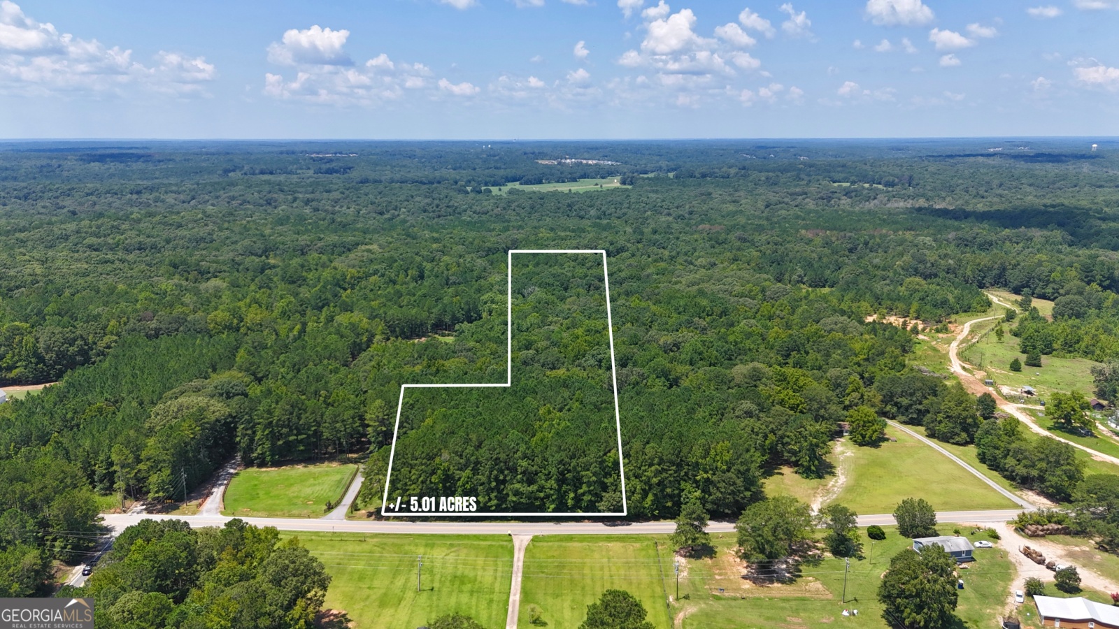 501 Padgett Road, Senoia, Georgia 30276, ,Land,For Sale,Padgett,9137986