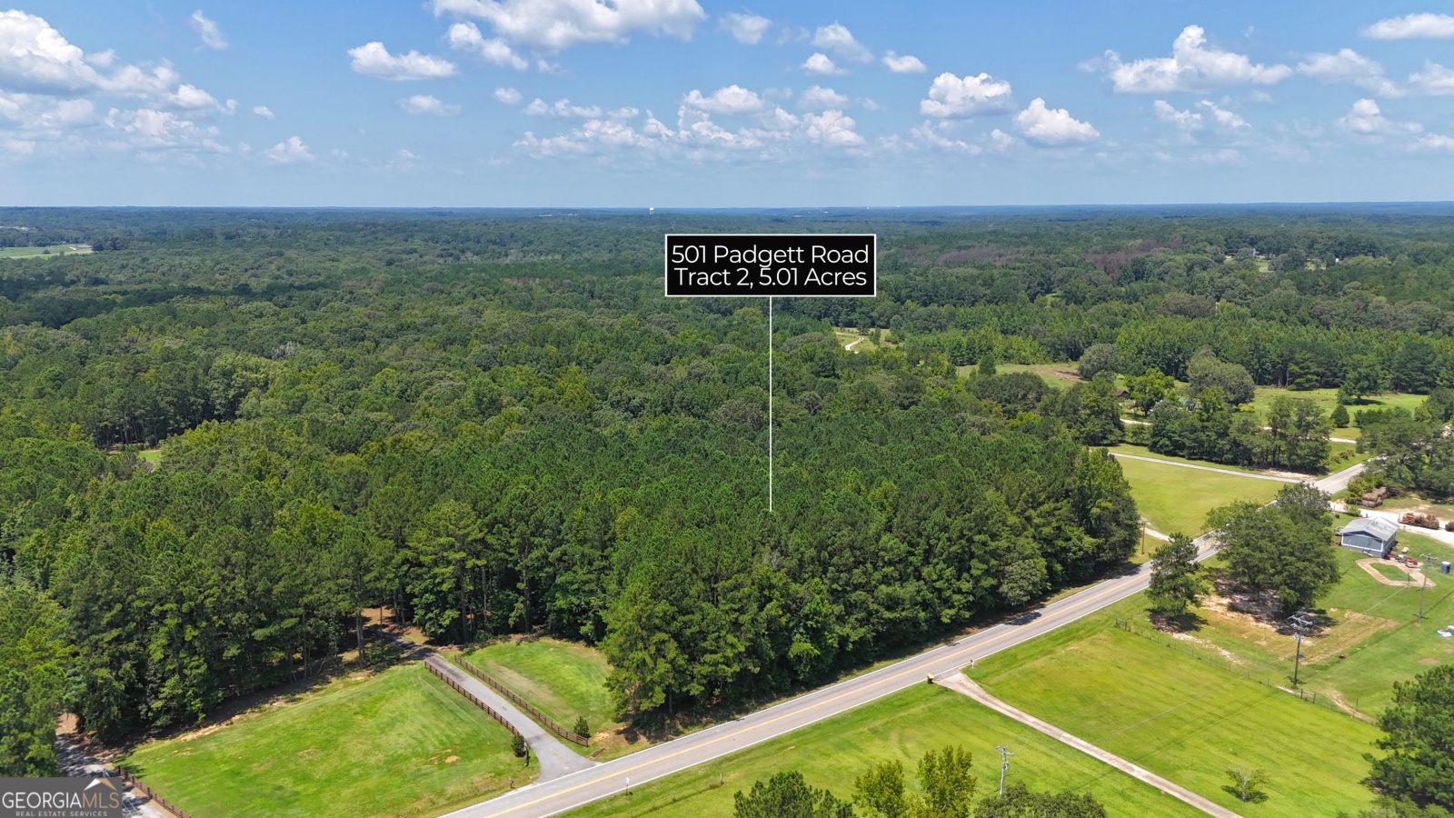 501 Padgett Road, Senoia, Georgia 30276, ,Land,For Sale,Padgett,9137986