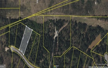 235 Gadson Drive, Fayetteville, Georgia 30214, ,Land,For Sale,Gadson,9137997