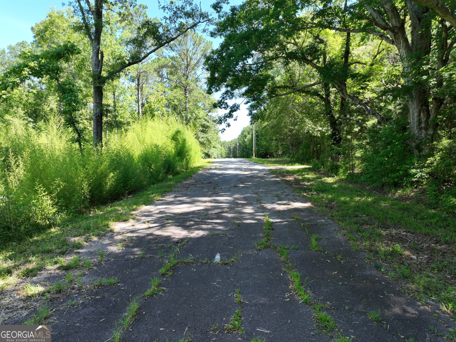 530 New Hutchinson Mill Road, Lagrange, Georgia 30240, ,Land,For Sale,New Hutchinson Mill,9138114