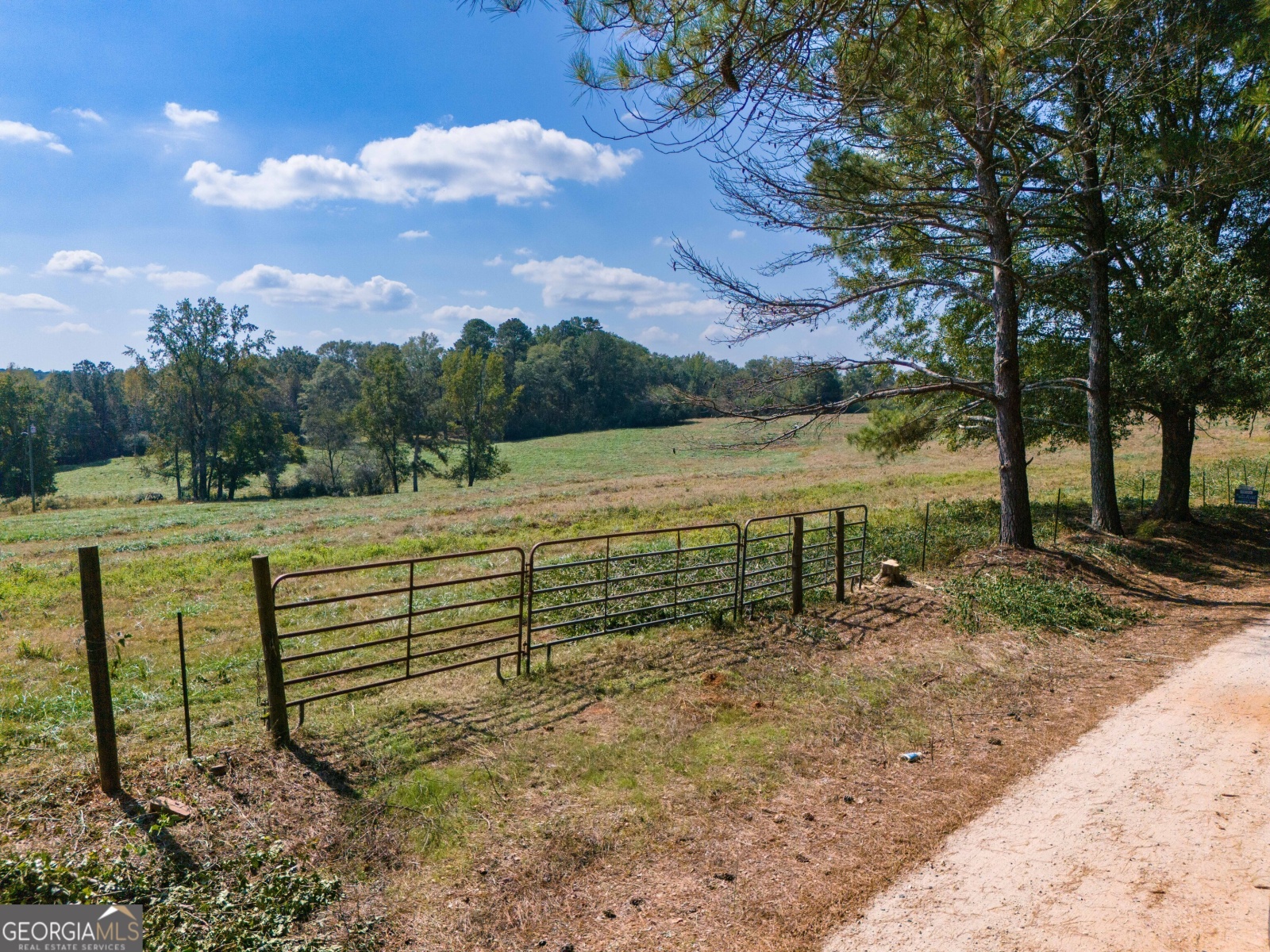 7440 Roosterville Road, Franklin, Georgia 30217, ,Land,For Sale,Roosterville,9138140