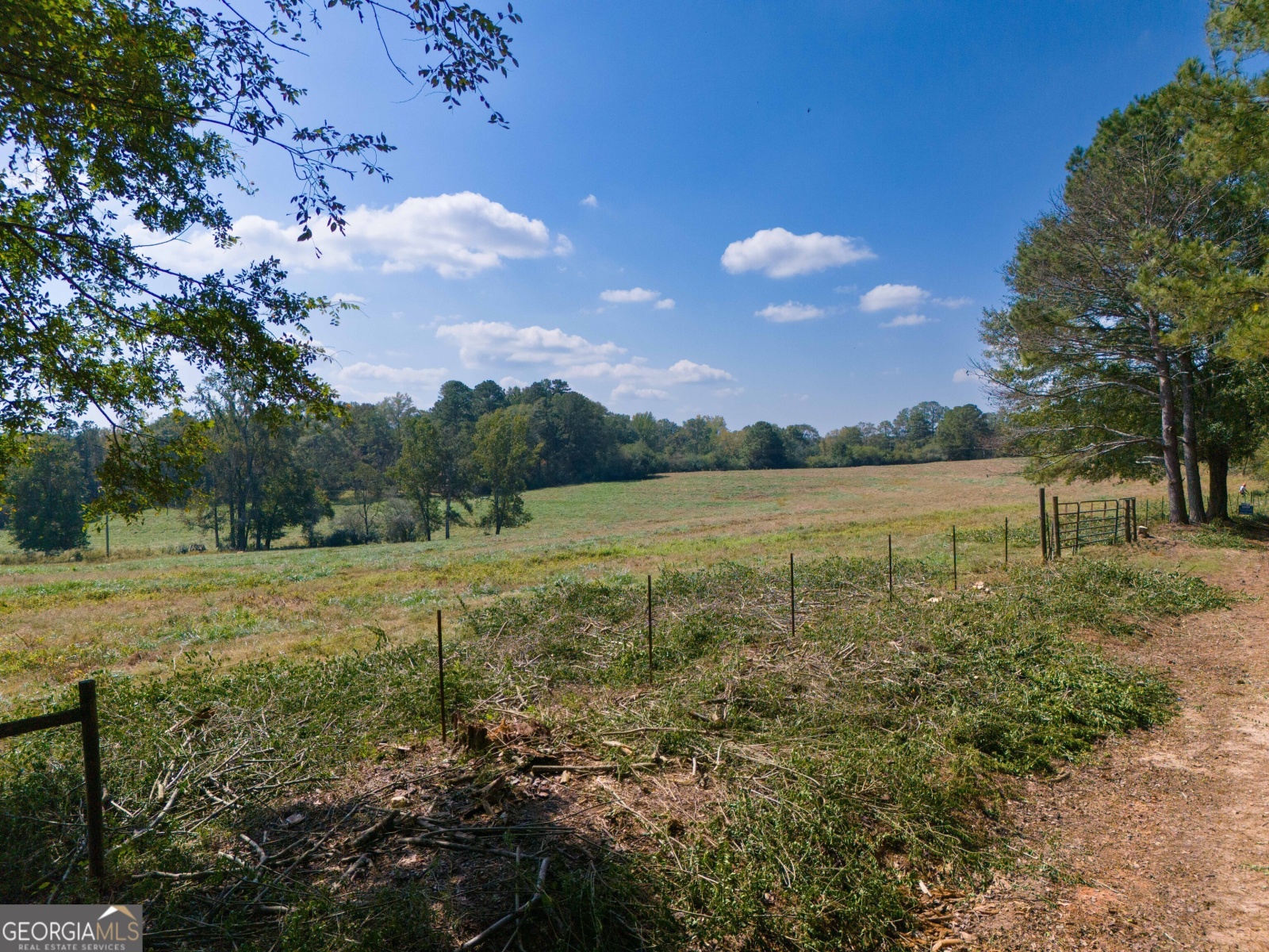 7440 Roosterville Road, Franklin, Georgia 30217, ,Land,For Sale,Roosterville,9138140