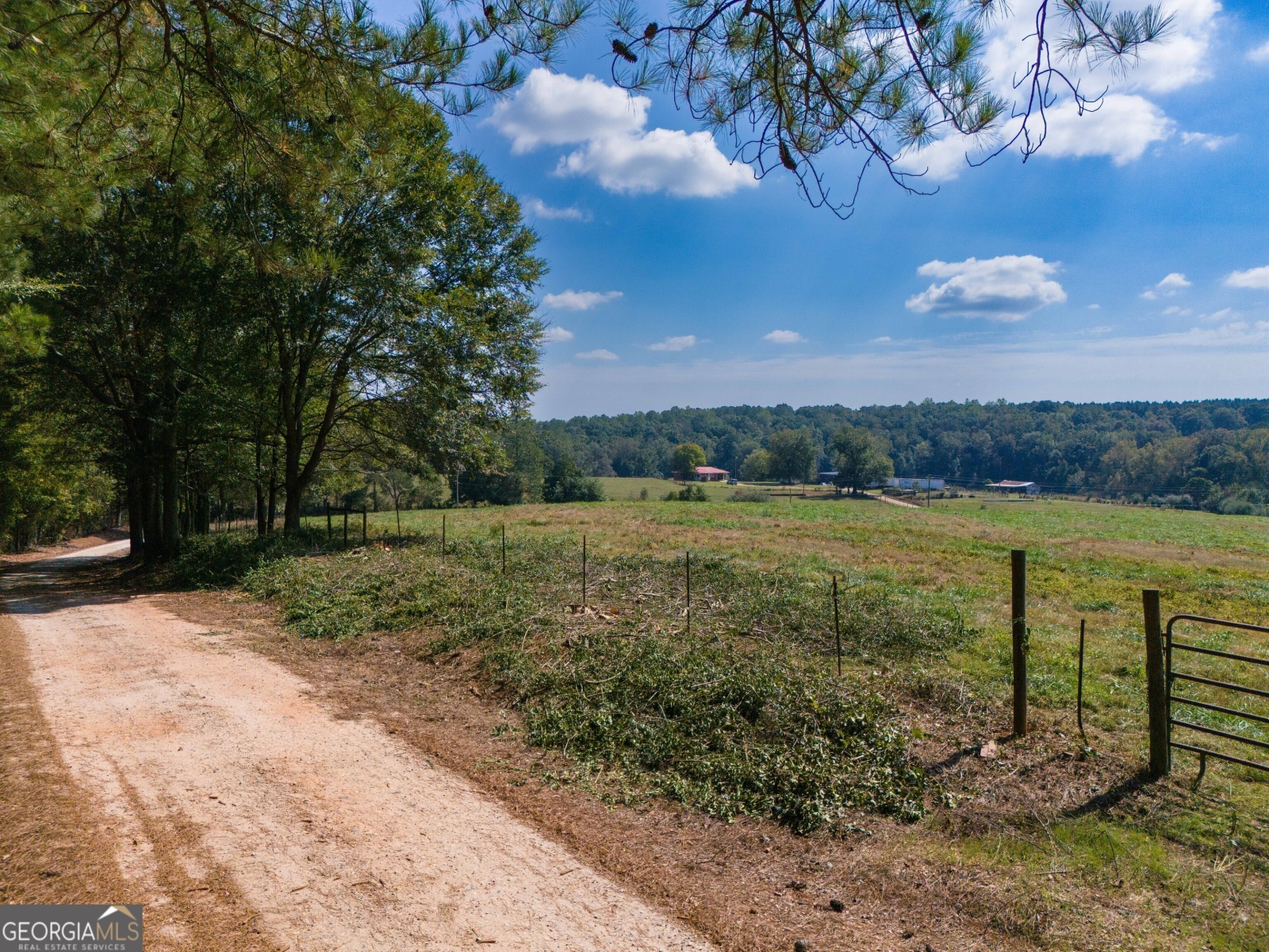 7440 Roosterville Road, Franklin, Georgia 30217, ,Land,For Sale,Roosterville,9138140