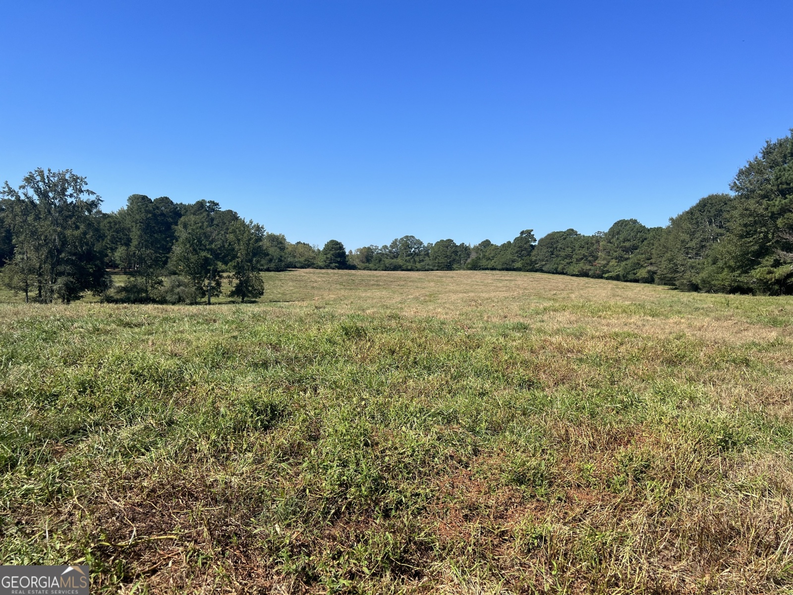 7440 Roosterville Road, Franklin, Georgia 30217, ,Land,For Sale,Roosterville,9138140