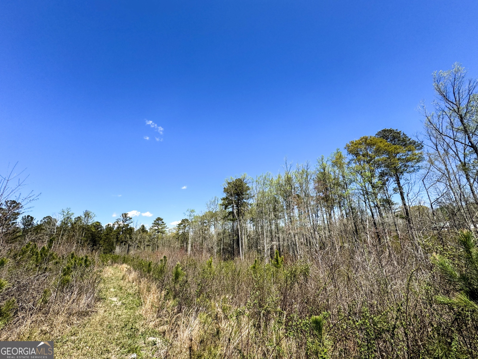 0 Bremen Mt Zion Road, Waco, Georgia 30182, ,Land,For Sale,Bremen Mt Zion Road,9138184