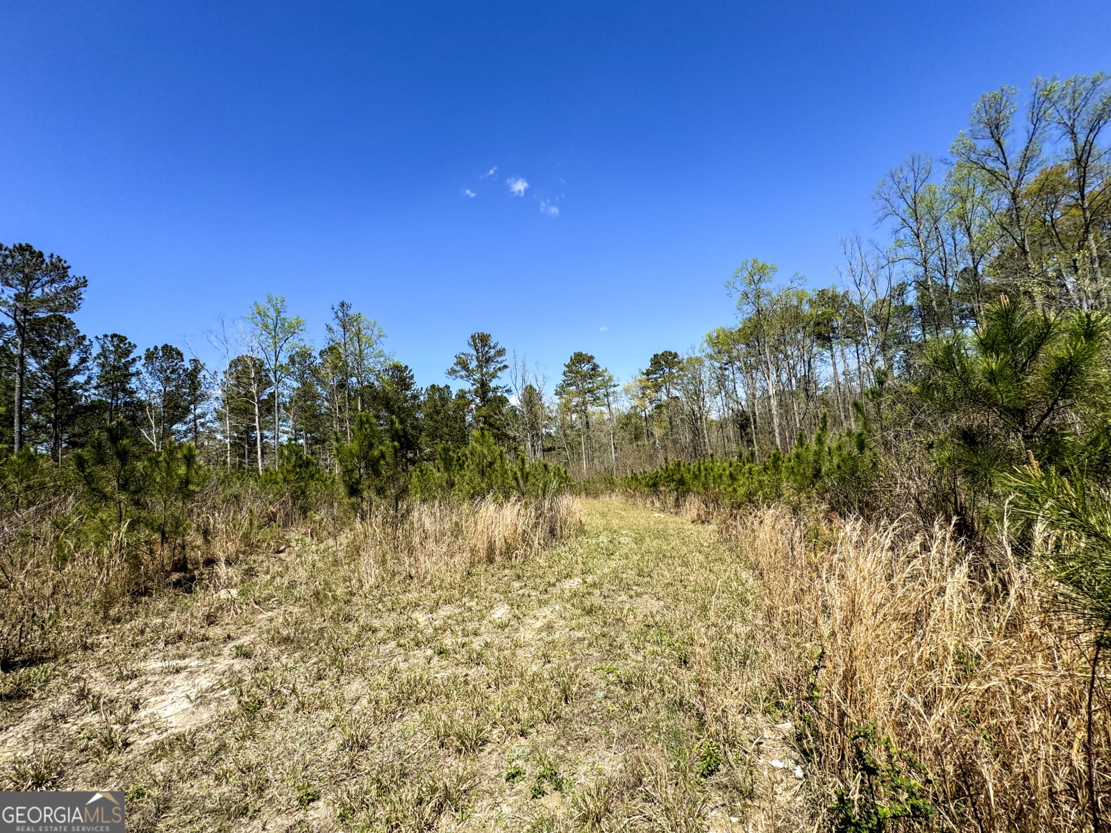 0 Bremen Mt Zion Road, Waco, Georgia 30182, ,Land,For Sale,Bremen Mt Zion Road,9138184