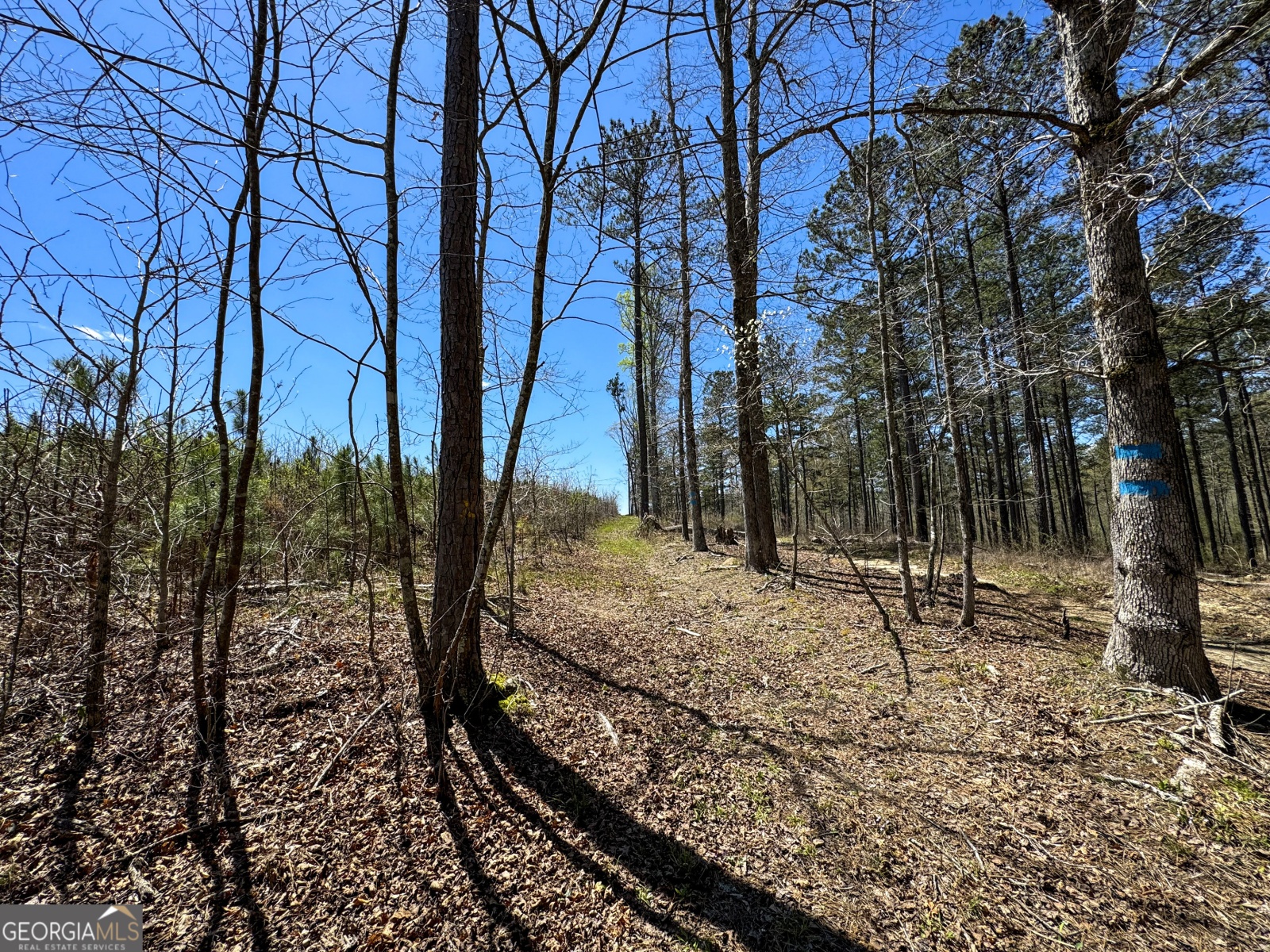 0 Bremen Mt Zion Road, Waco, Georgia 30182, ,Land,For Sale,Bremen Mt Zion Road,9138184