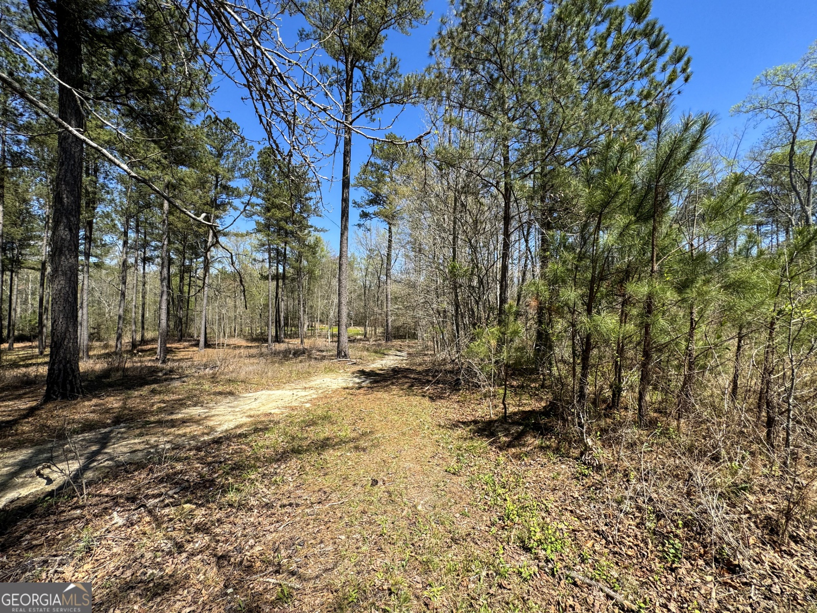 0 Bremen Mt Zion Road, Waco, Georgia 30182, ,Land,For Sale,Bremen Mt Zion Road,9138184