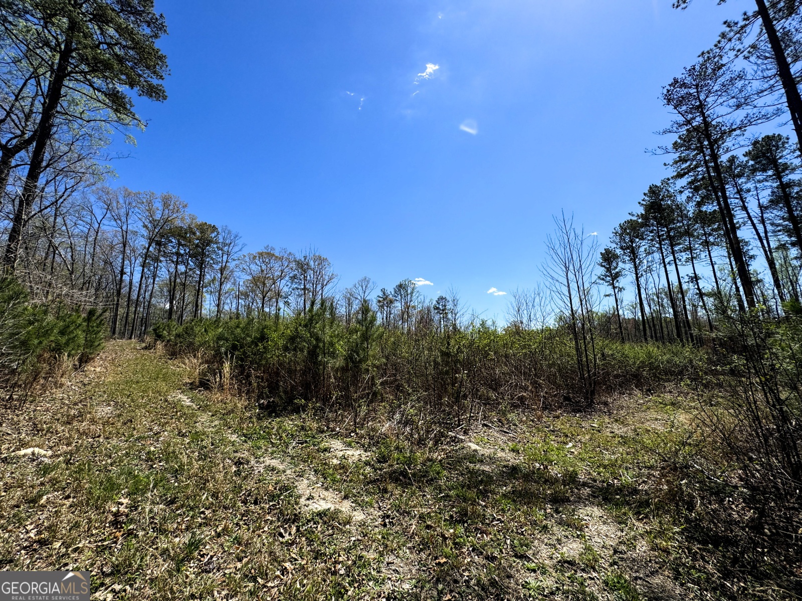 0 Bremen Mt Zion Road, Waco, Georgia 30182, ,Land,For Sale,Bremen Mt Zion Road,9138184