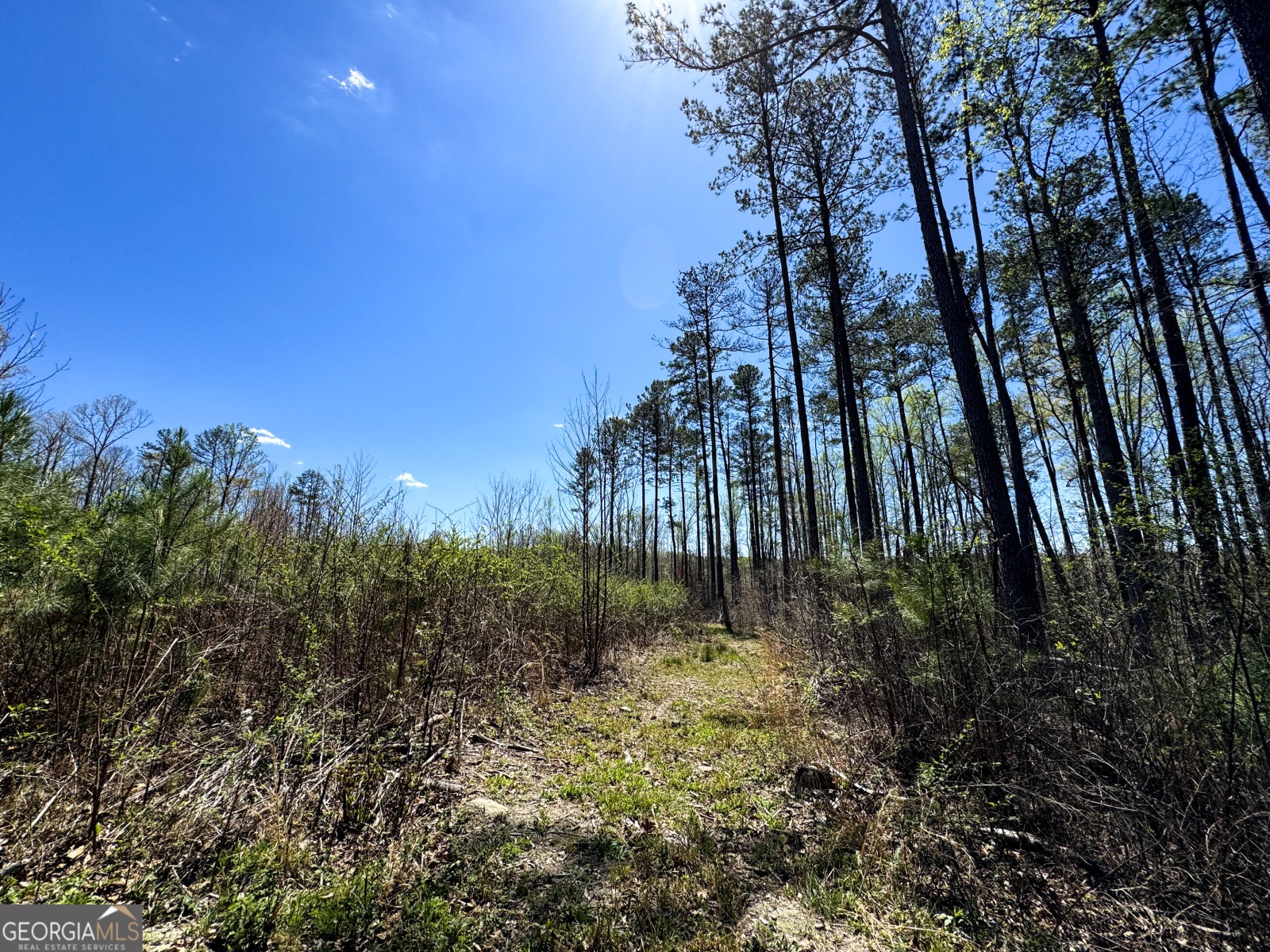 0 Bremen Mt Zion Road, Waco, Georgia 30182, ,Land,For Sale,Bremen Mt Zion Road,9138184