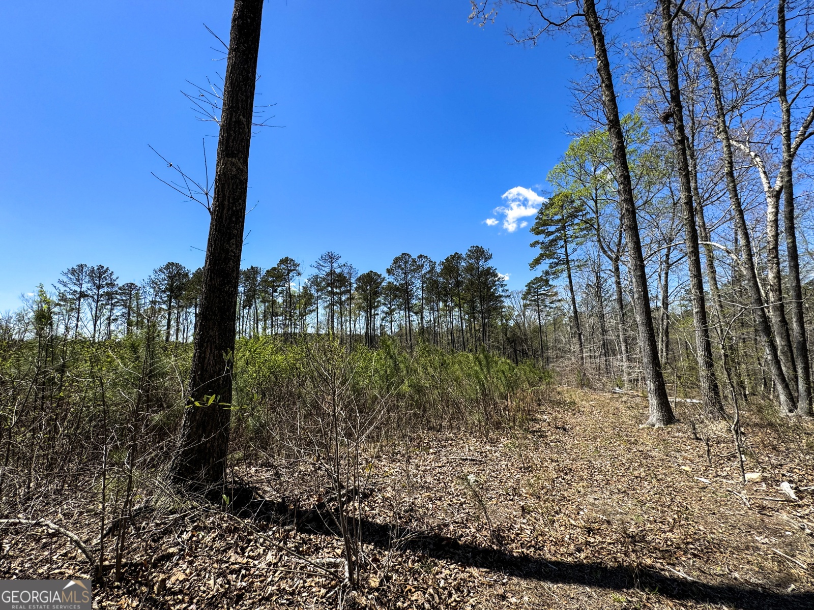 0 Bremen Mt Zion Road, Waco, Georgia 30182, ,Land,For Sale,Bremen Mt Zion Road,9138184