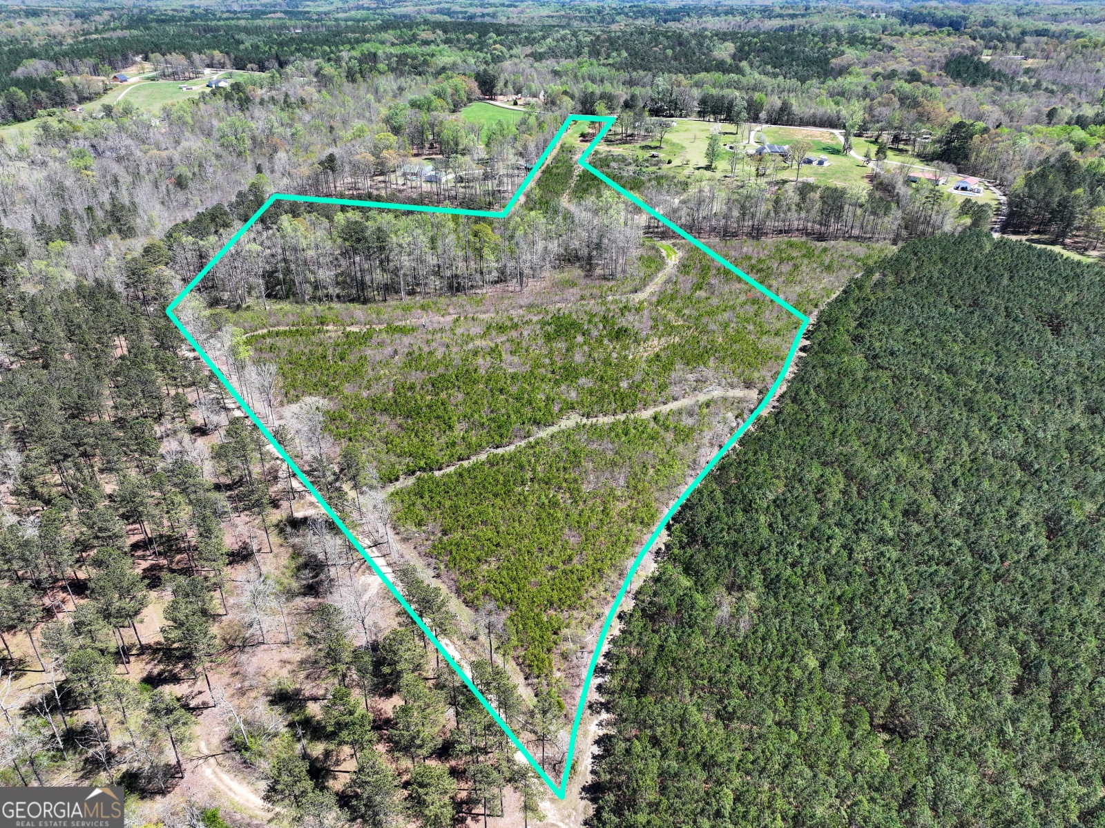 0 Bremen Mt Zion Road, Waco, Georgia 30182, ,Land,For Sale,Bremen Mt Zion Road,9138184