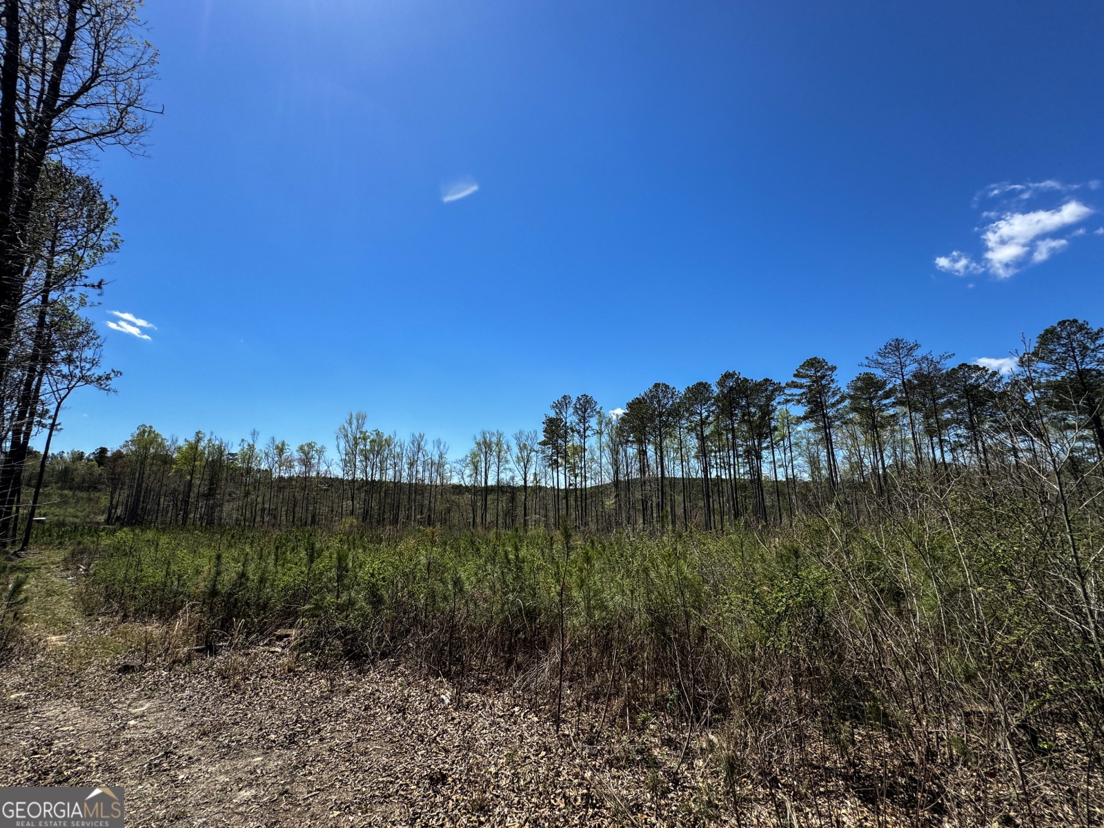 0 Bremen Mt Zion Road, Waco, Georgia 30182, ,Land,For Sale,Bremen Mt Zion Road,9138184