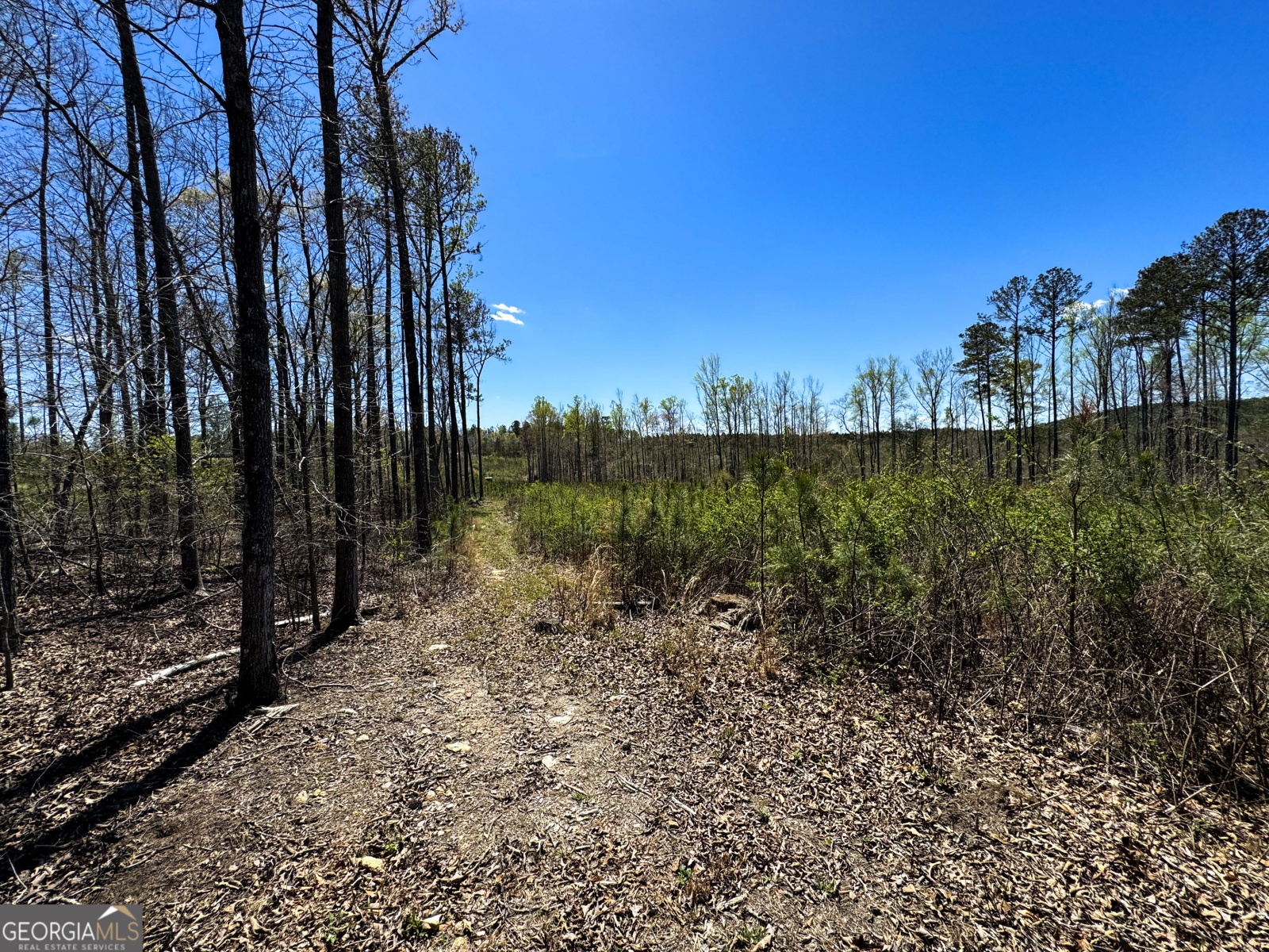 0 Bremen Mt Zion Road, Waco, Georgia 30182, ,Land,For Sale,Bremen Mt Zion Road,9138184