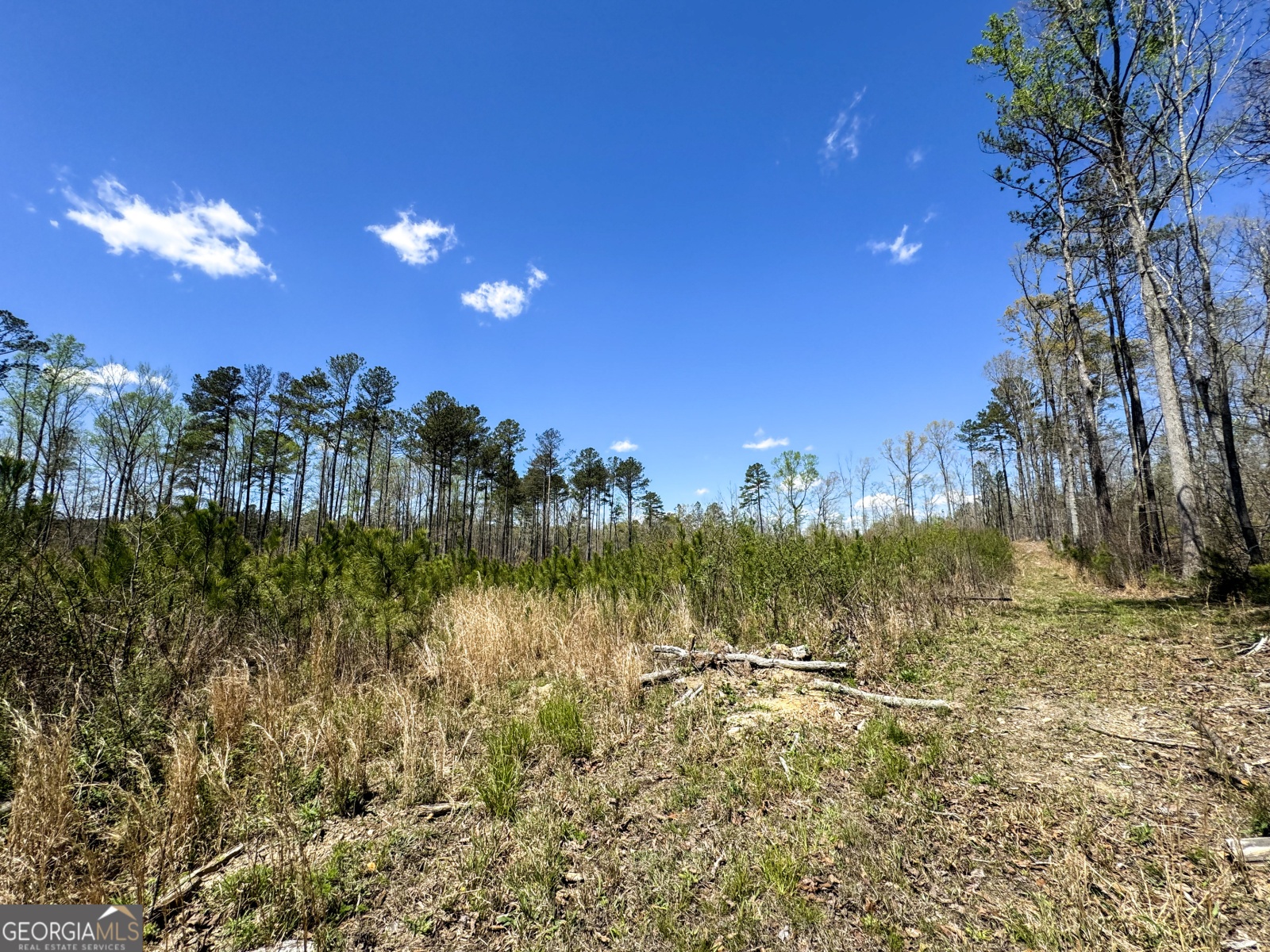 0 Bremen Mt Zion Road, Waco, Georgia 30182, ,Land,For Sale,Bremen Mt Zion Road,9138184