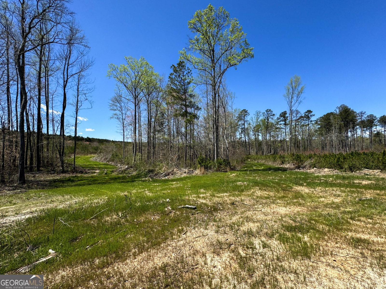 0 Bremen Mt Zion Road, Waco, Georgia 30182, ,Land,For Sale,Bremen Mt Zion Road,9138184