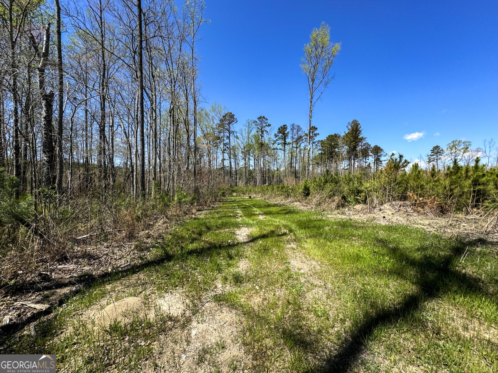 0 Bremen Mt Zion Road, Waco, Georgia 30182, ,Land,For Sale,Bremen Mt Zion Road,9138184