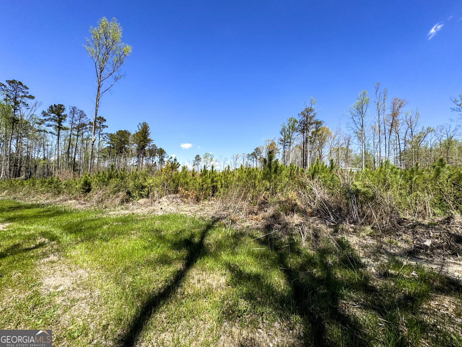 0 Bremen Mt Zion Road, Waco, Georgia 30182, ,Land,For Sale,Bremen Mt Zion Road,9138184