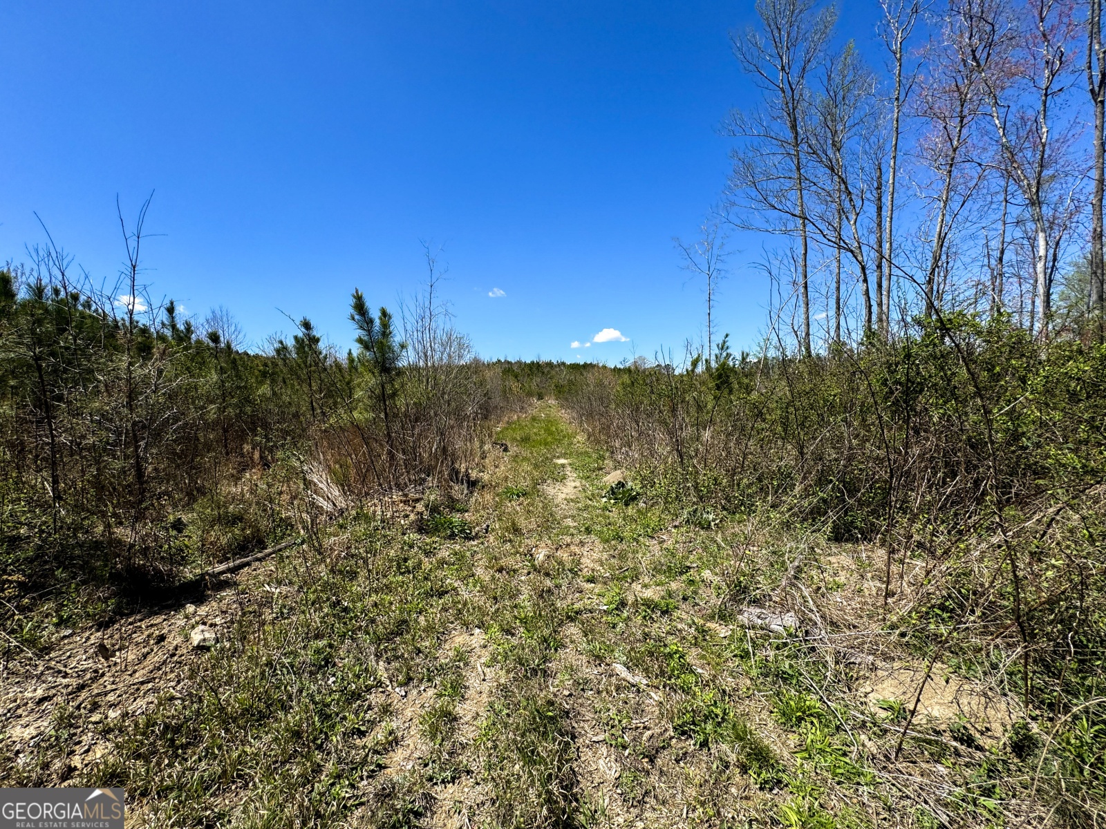 0 Bremen Mt Zion Road, Waco, Georgia 30182, ,Land,For Sale,Bremen Mt Zion Road,9138184