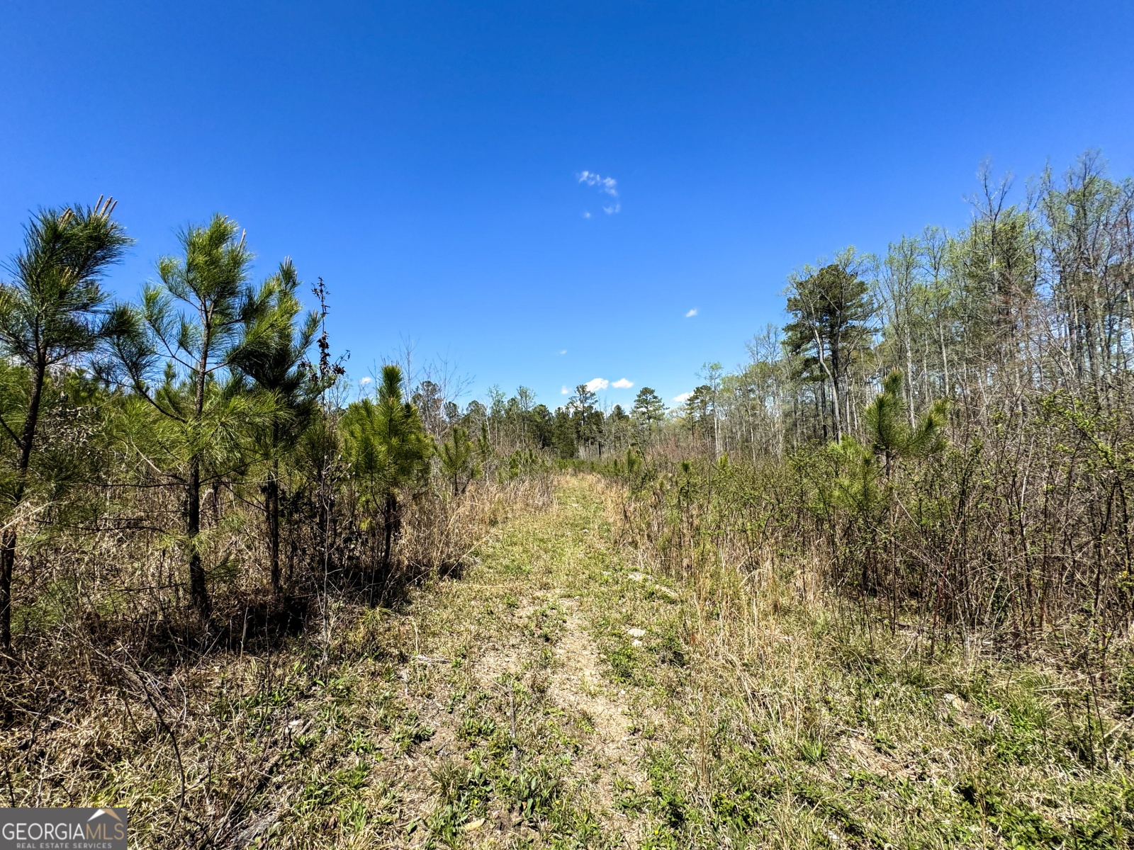 0 Bremen Mt Zion Road, Waco, Georgia 30182, ,Land,For Sale,Bremen Mt Zion Road,9138184