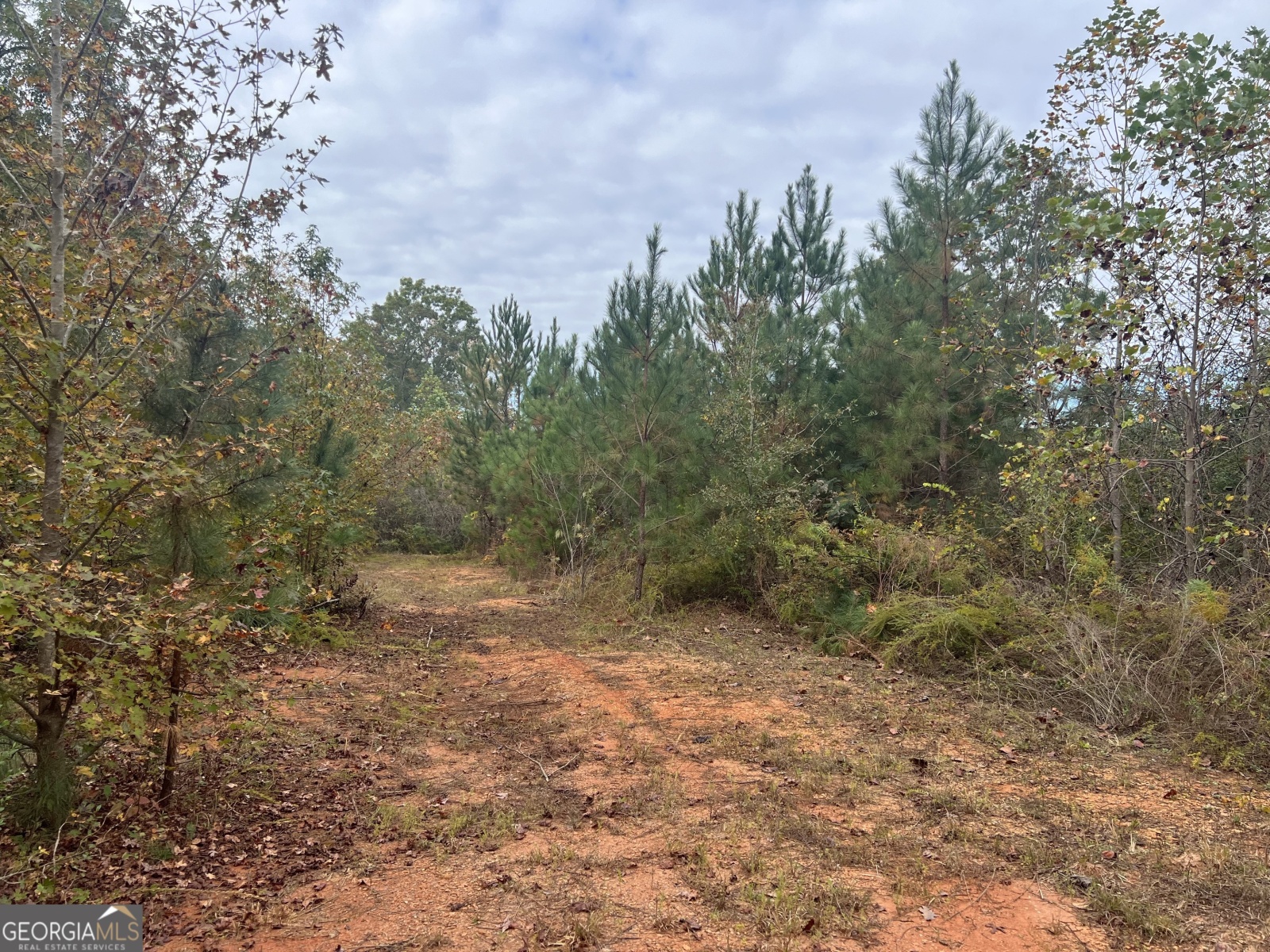 0 South Bridge Road, Franklin, Georgia 30217, ,Land,For Sale,South Bridge,9138301