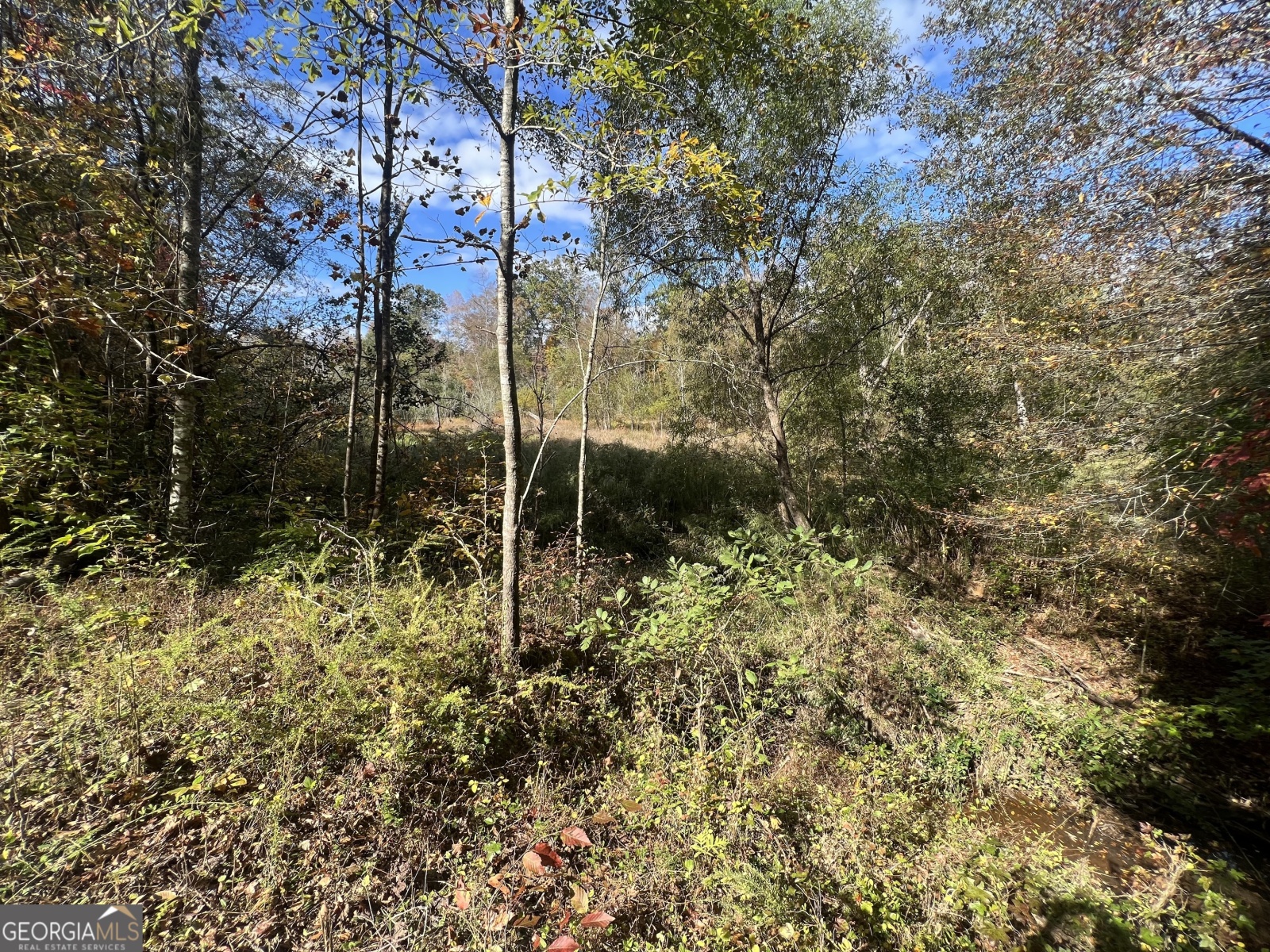 0 South Bridge Road, Franklin, Georgia 30217, ,Land,For Sale,South Bridge,9138301