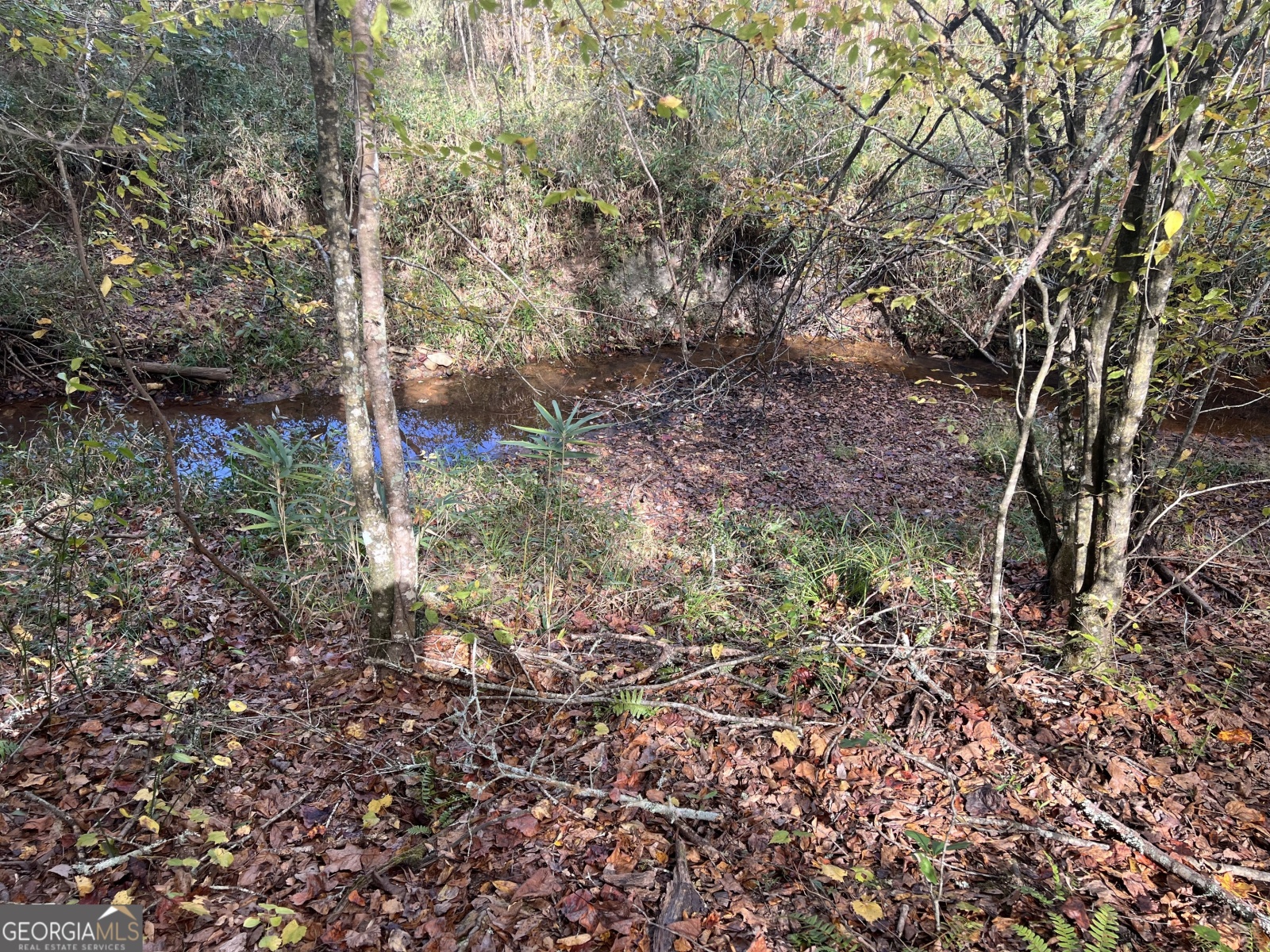 0 South Bridge Road, Franklin, Georgia 30217, ,Land,For Sale,South Bridge,9138301