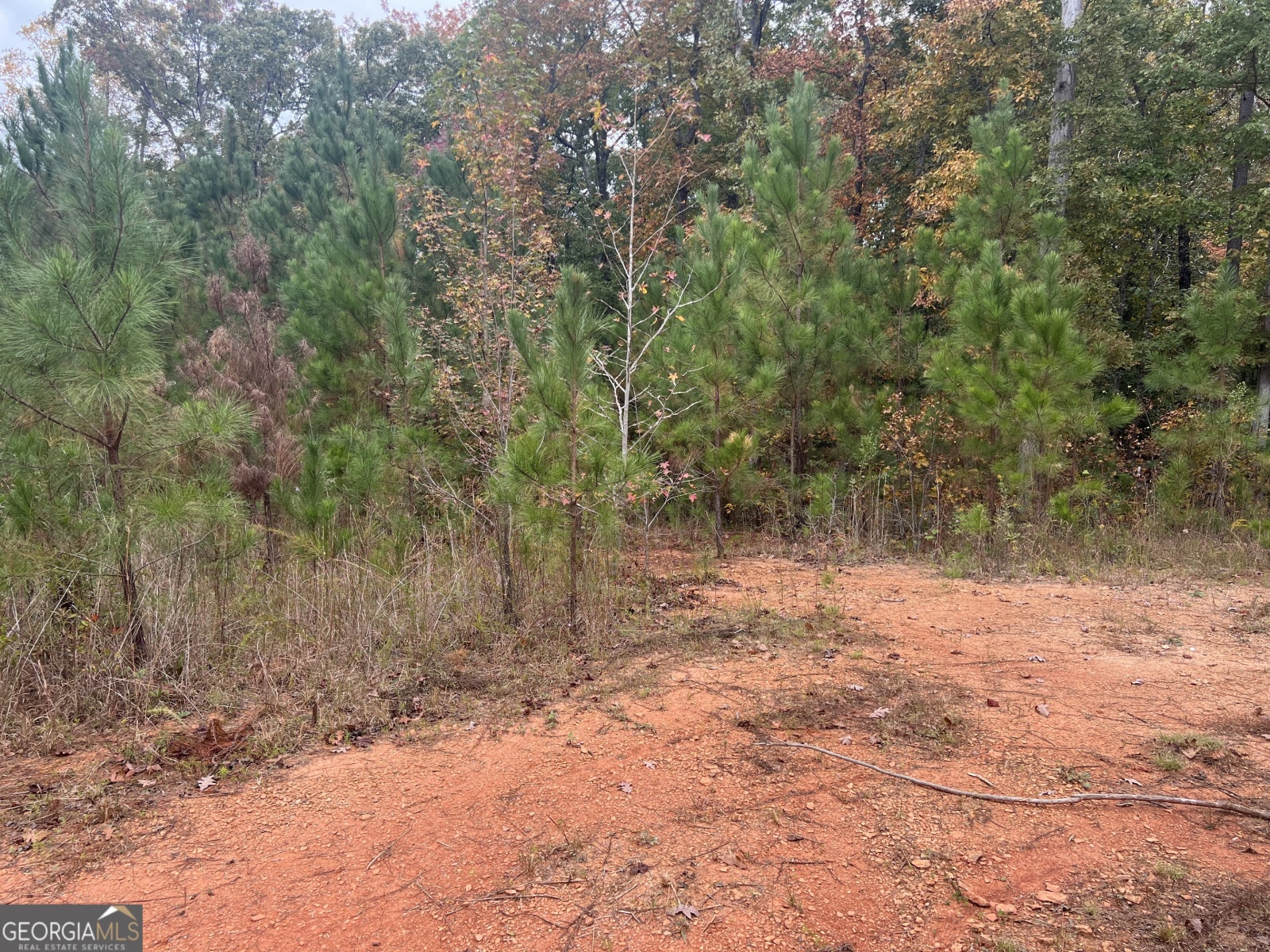 0 South Bridge Road, Franklin, Georgia 30217, ,Land,For Sale,South Bridge,9138301