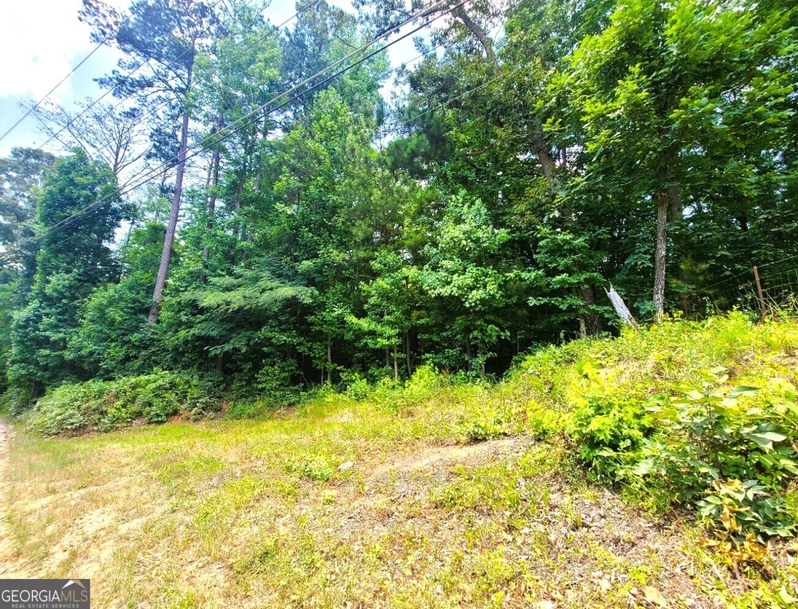 0 Old Milam Road, Fayetteville, Georgia 30214, ,Land,For Sale,Old Milam,9138316