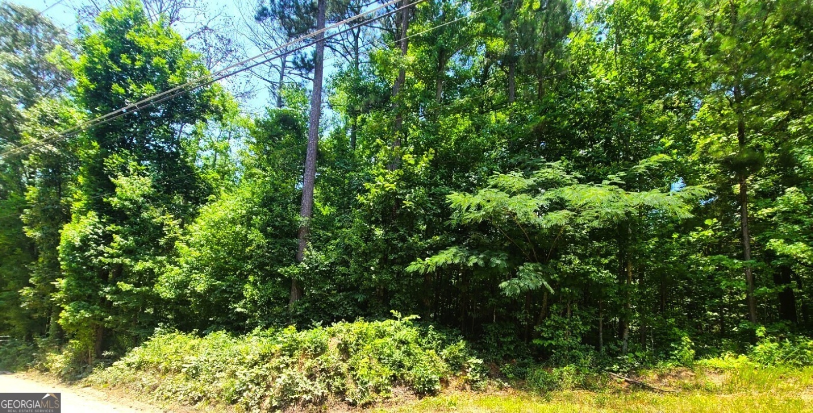 0 Old Milam Road, Fayetteville, Georgia 30214, ,Land,For Sale,Old Milam,9138316