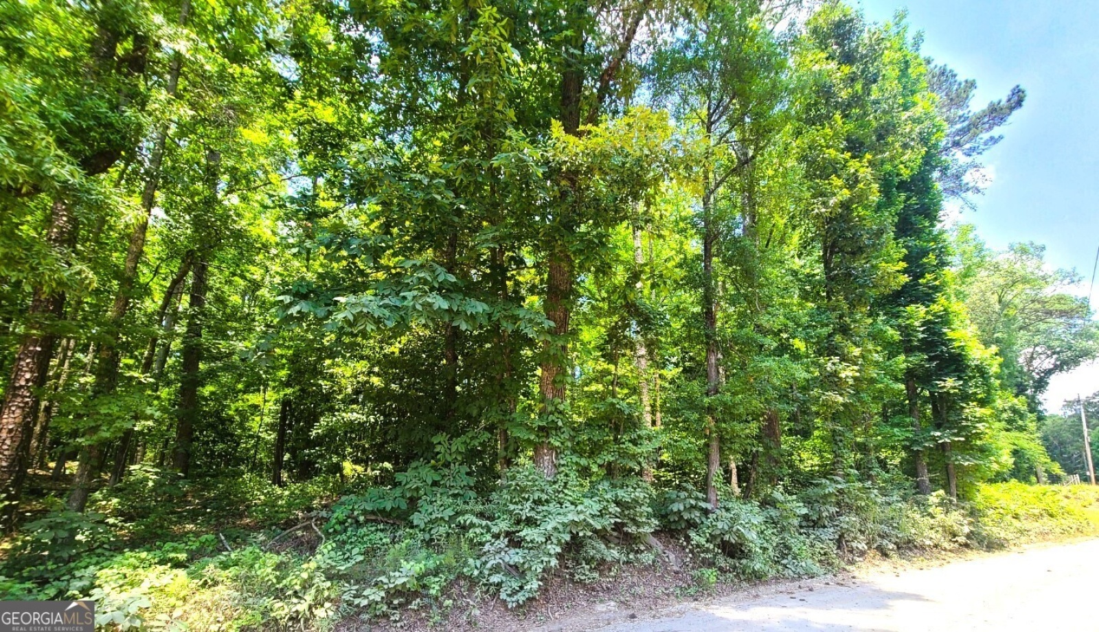 0 Old Milam Road, Fayetteville, Georgia 30214, ,Land,For Sale,Old Milam,9138316