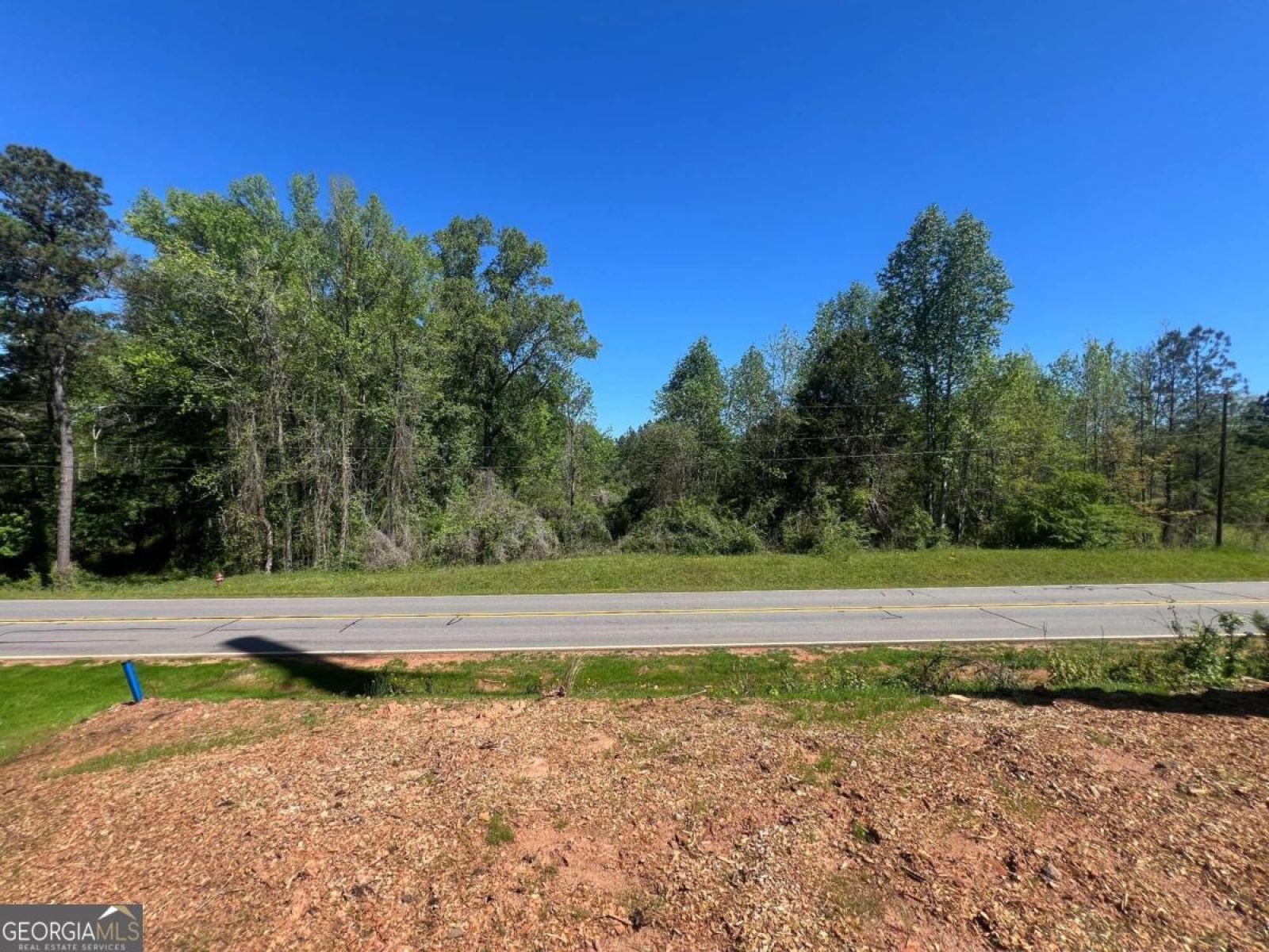 1329 Standing Rock Road, Senoia, Georgia 30276, ,Land,For Sale,Standing Rock,9138366