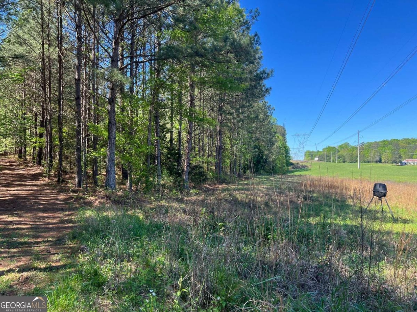 1329 Standing Rock Road, Senoia, Georgia 30276, ,Land,For Sale,Standing Rock,9138366