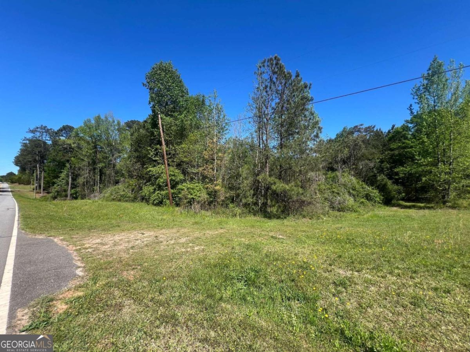 1329 Standing Rock Road, Senoia, Georgia 30276, ,Land,For Sale,Standing Rock,9138366