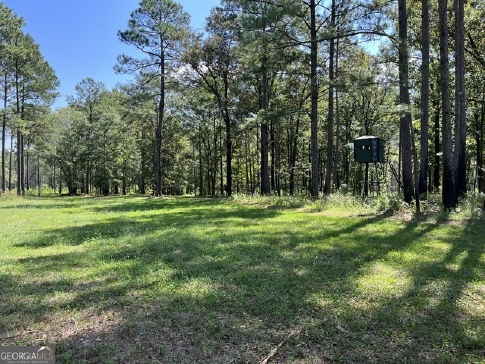 0 Bright Star Church Road, Lagrange, Georgia 30240, ,Land,For Sale,Bright Star Church,9138396