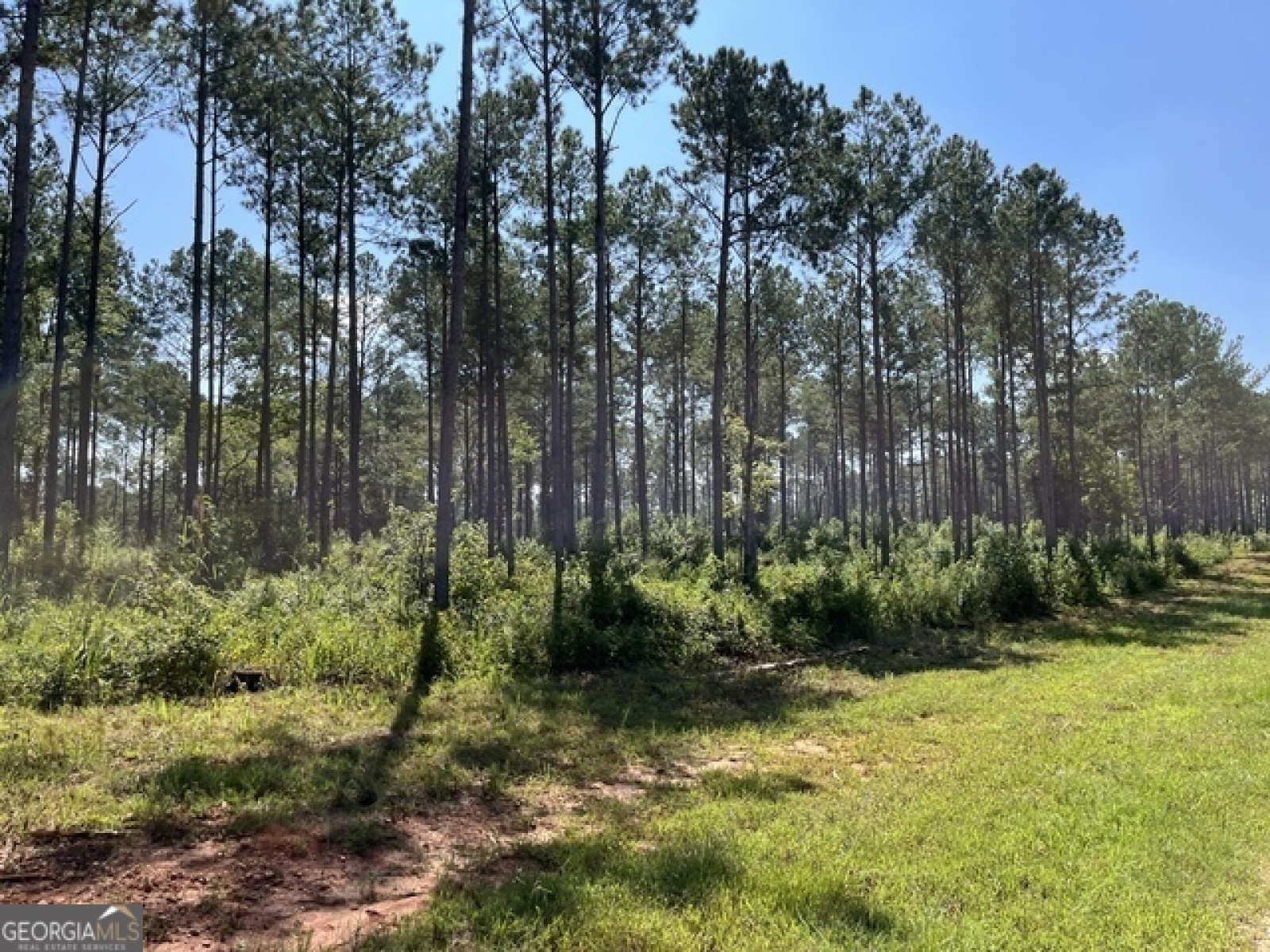 0 Bright Star Church Road, Lagrange, Georgia 30240, ,Land,For Sale,Bright Star Church,9138396