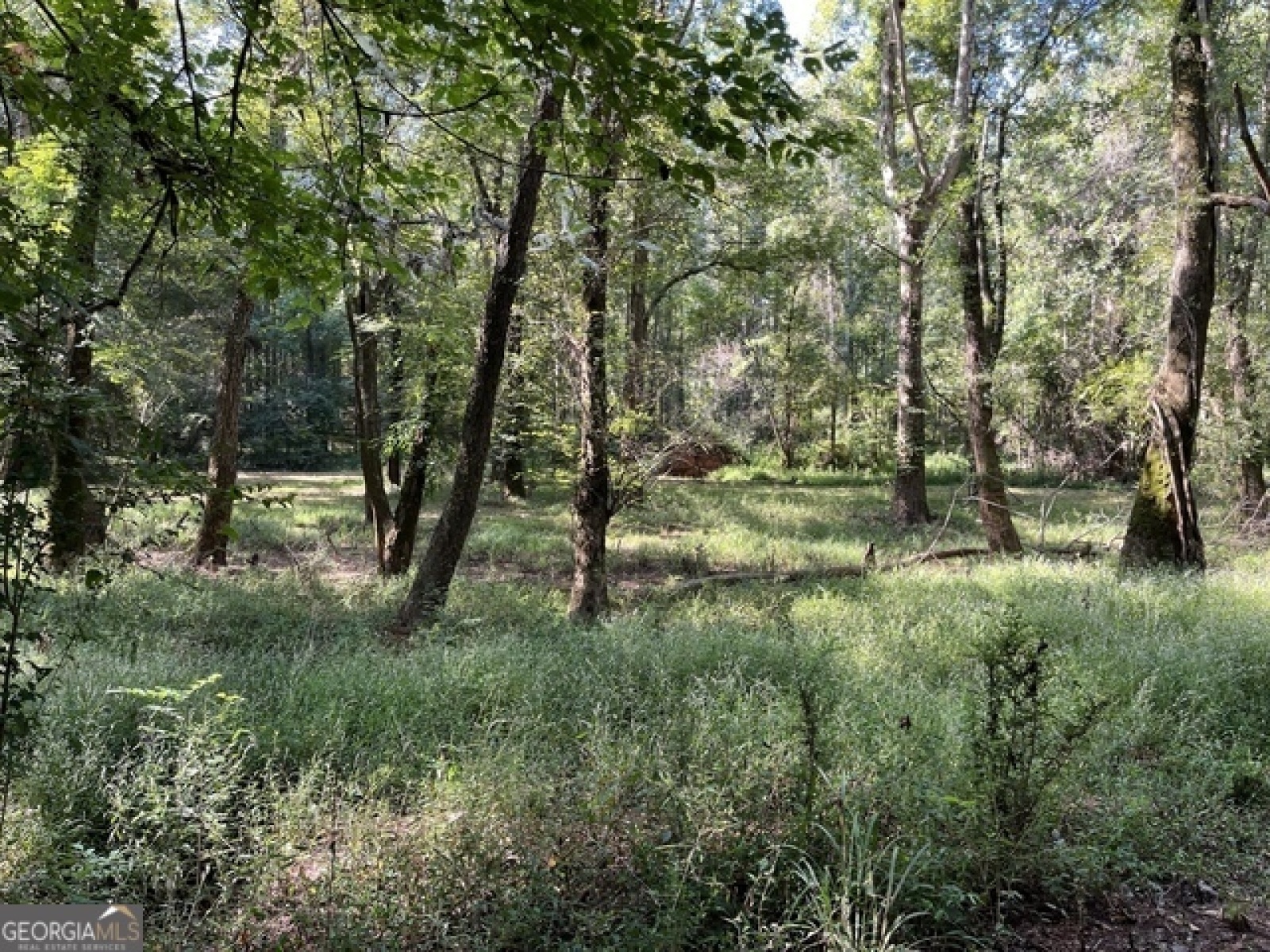 0 Bright Star Church Road, Lagrange, Georgia 30240, ,Land,For Sale,Bright Star Church,9138396