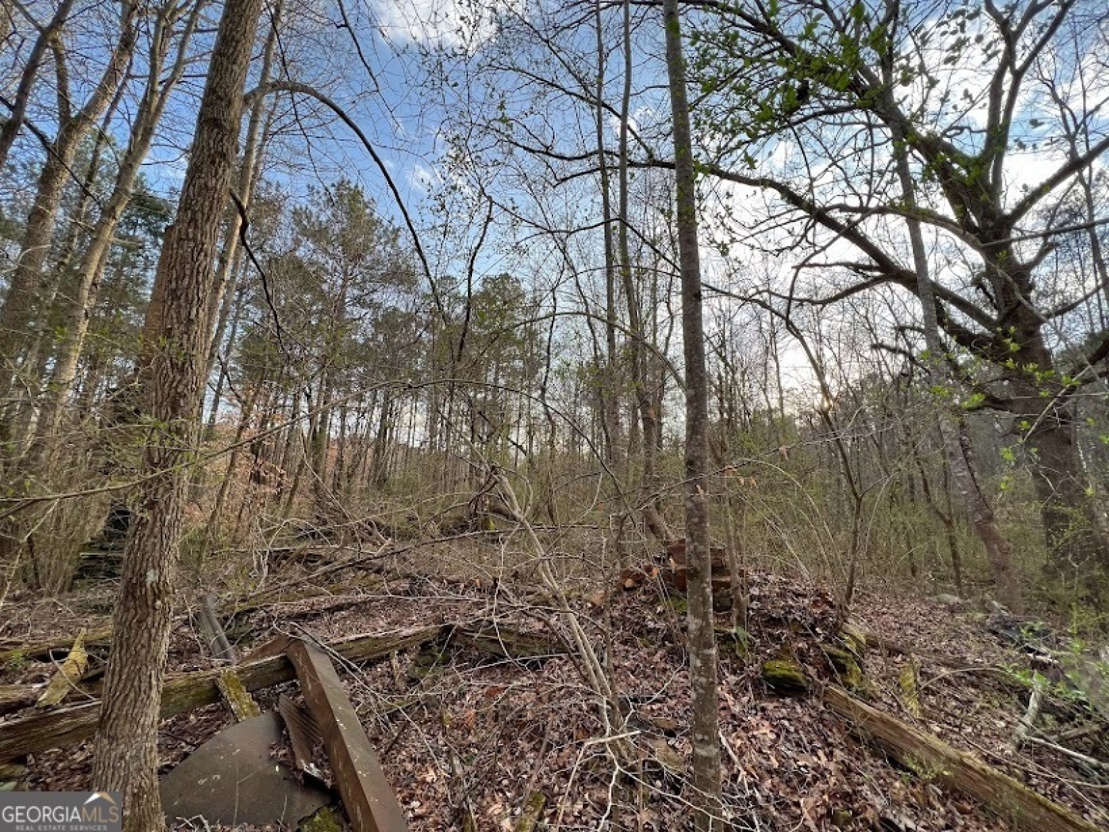 1975 Whooping Creek Road, Carrollton, Georgia 30116, ,Land,For Sale,Whooping Creek Road,9138397