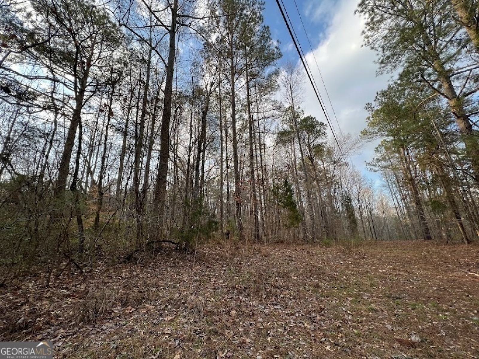 1975 Whooping Creek Road, Carrollton, Georgia 30116, ,Land,For Sale,Whooping Creek Road,9138397