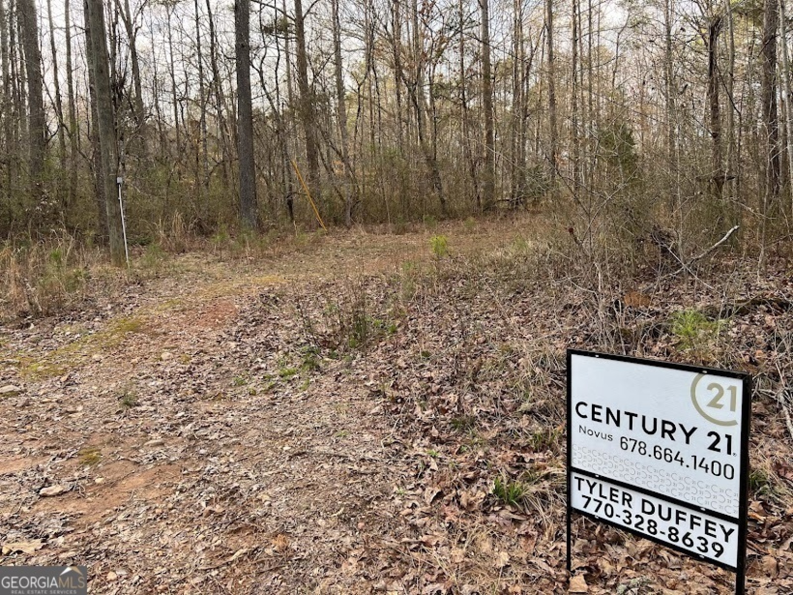 1975 Whooping Creek Road, Carrollton, Georgia 30116, ,Land,For Sale,Whooping Creek Road,9138397