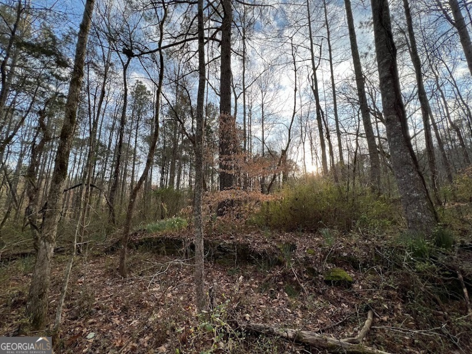 1975 Whooping Creek Road, Carrollton, Georgia 30116, ,Land,For Sale,Whooping Creek Road,9138397