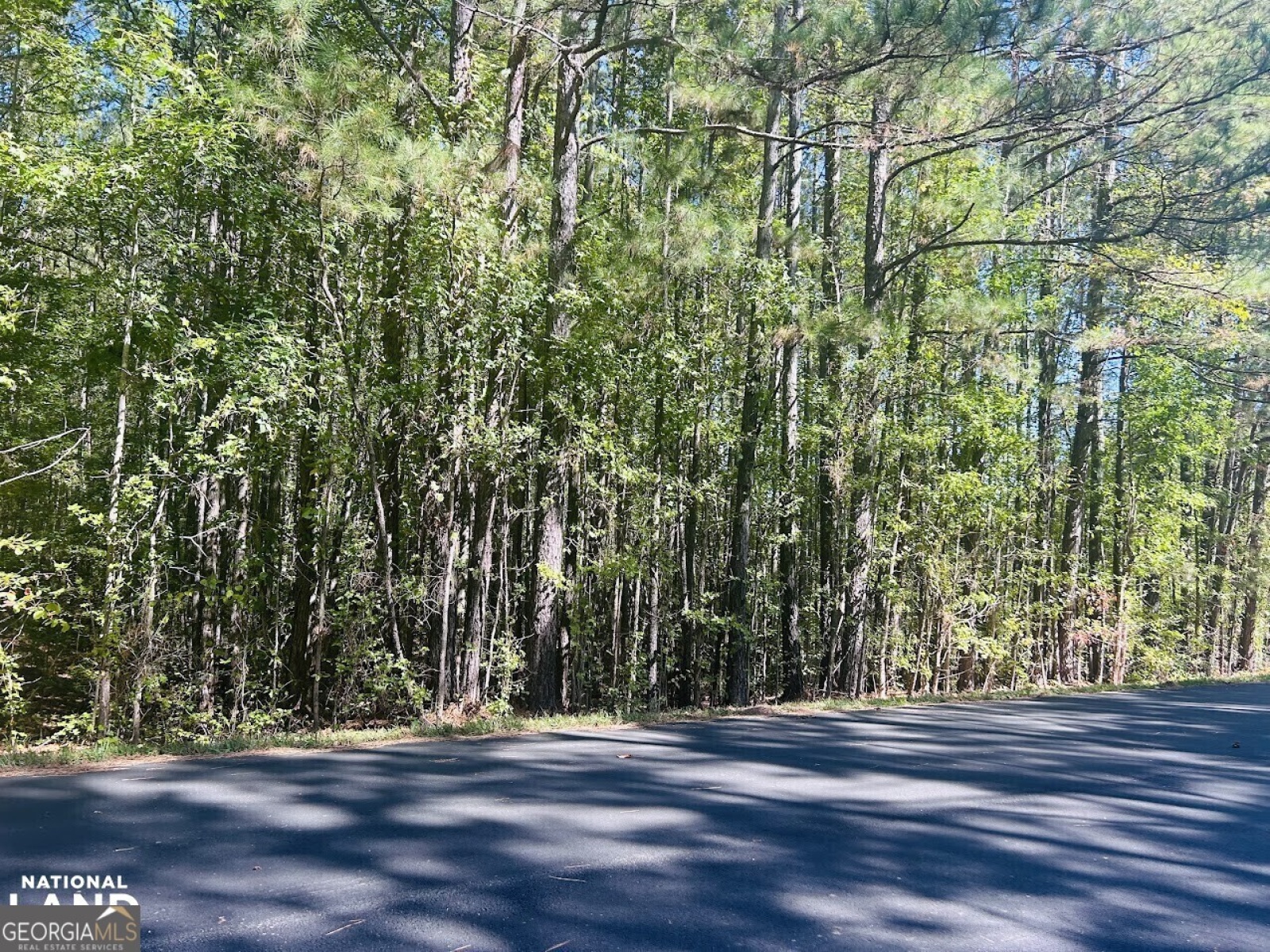 0 Williamson, Tallapoosa, Georgia 30176, ,Land,For Sale,Williamson,9138401