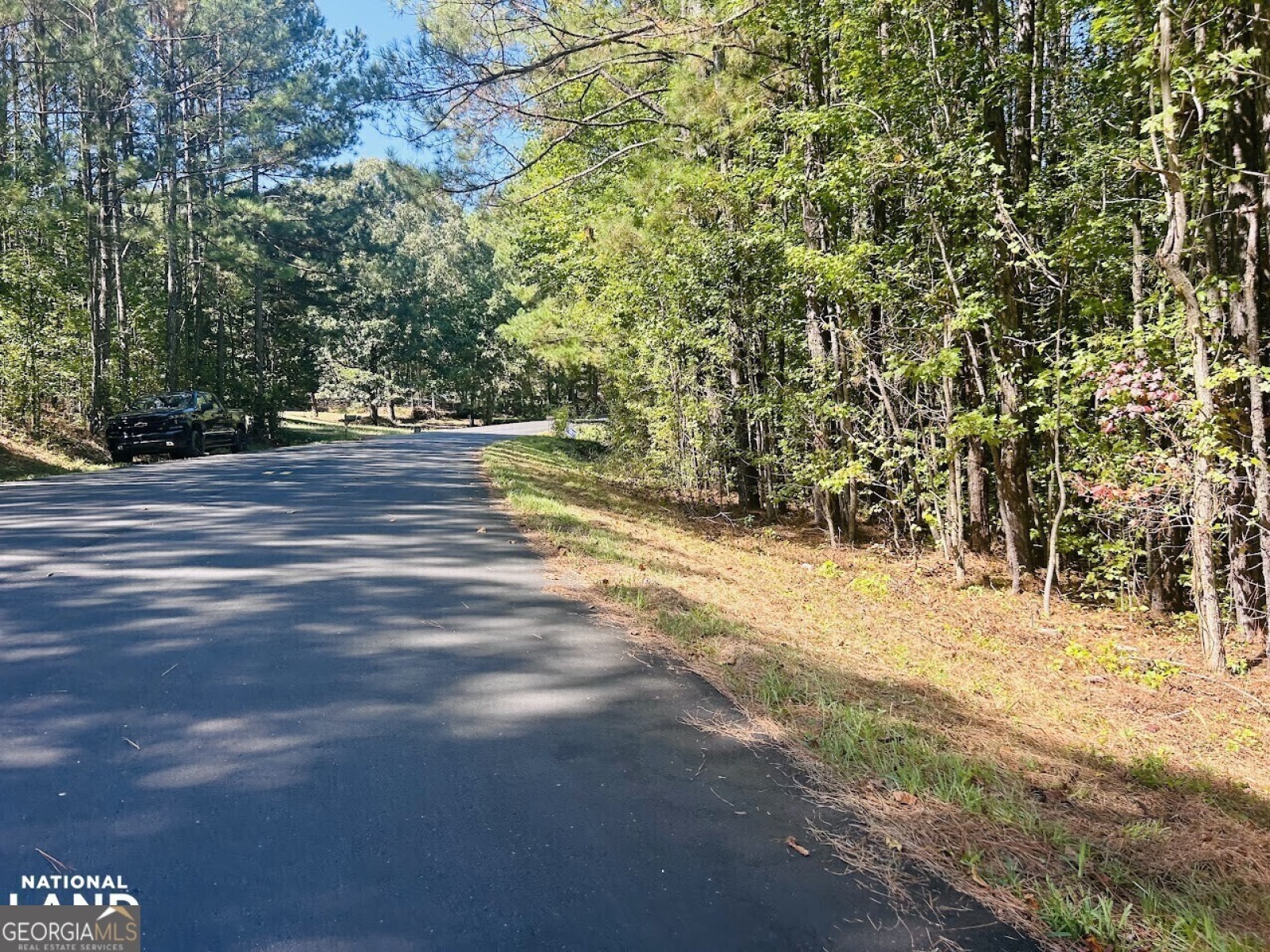 0 Williamson, Tallapoosa, Georgia 30176, ,Land,For Sale,Williamson,9138401