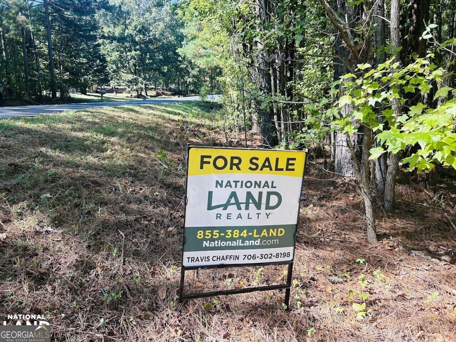 0 Williamson, Tallapoosa, Georgia 30176, ,Land,For Sale,Williamson,9138401