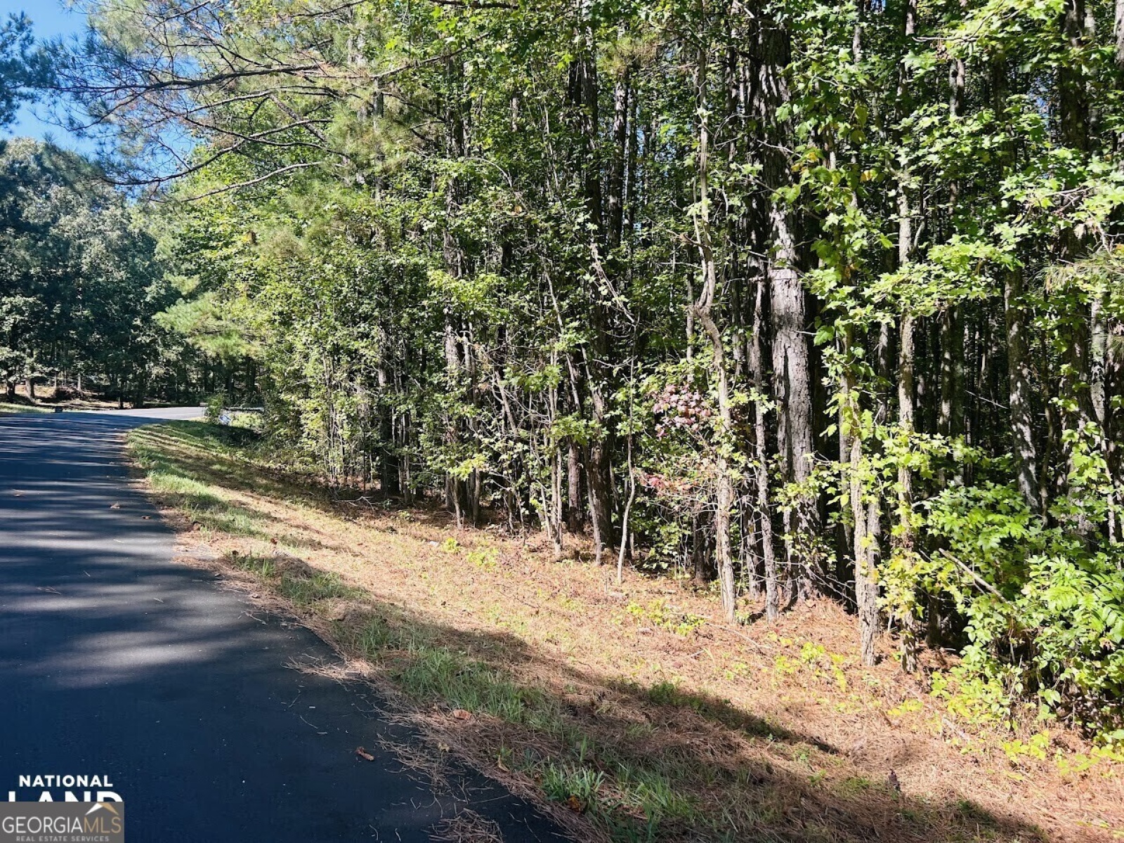 0 Williamson, Tallapoosa, Georgia 30176, ,Land,For Sale,Williamson,9138401