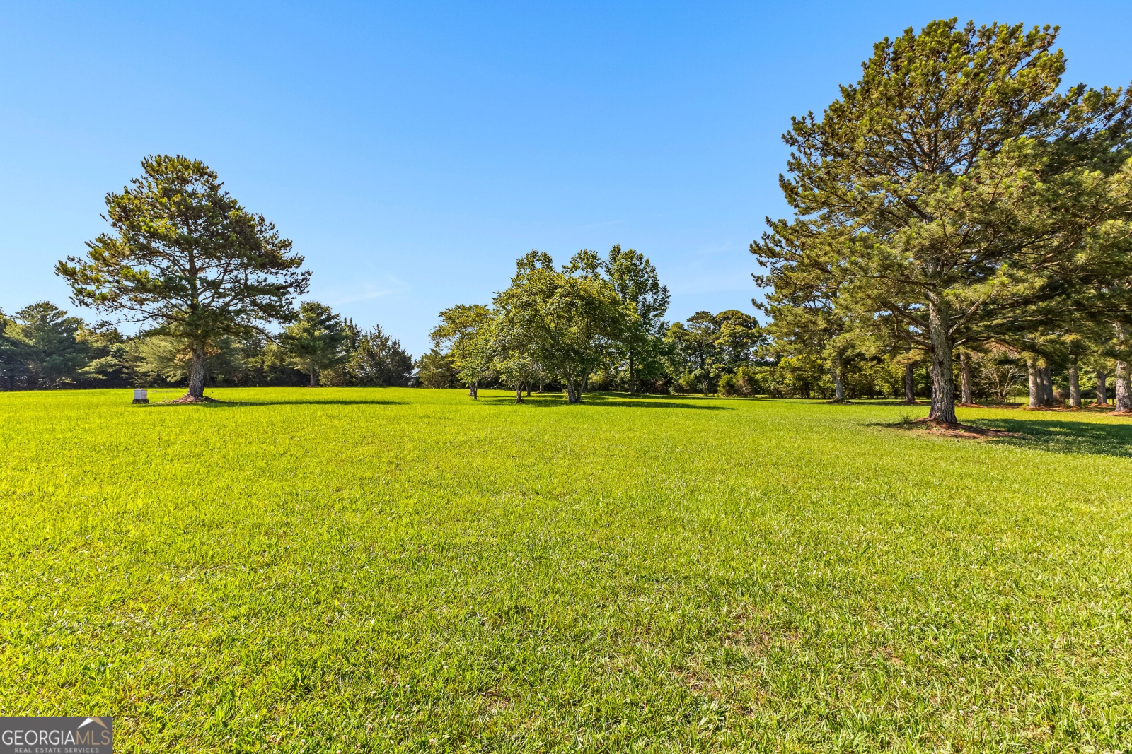 470 Lawshe Road, Senoia, Georgia 30276, 3 Bedrooms Bedrooms, ,2 BathroomsBathrooms,Residential,For Sale,Lawshe,9138437