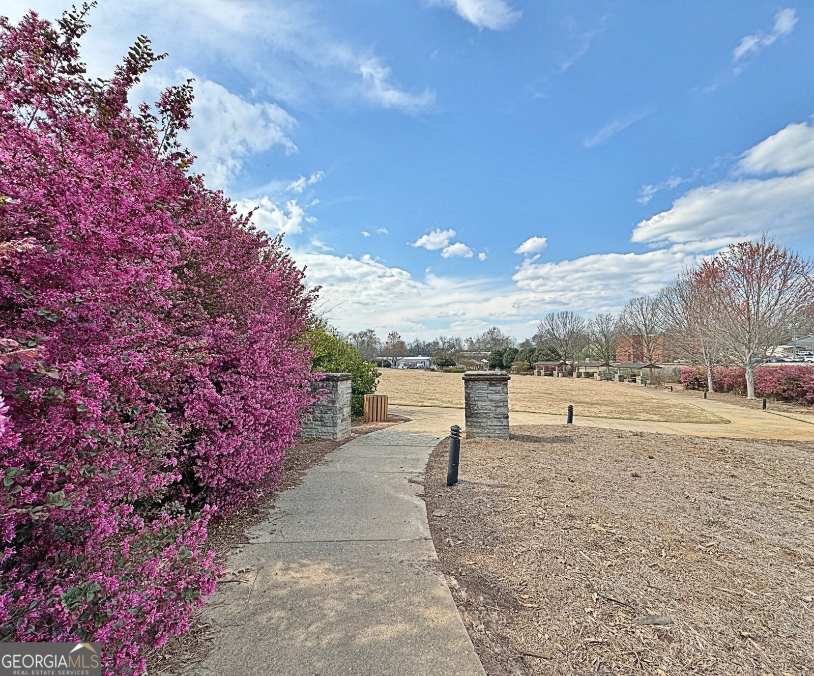 9 Newnan Views Circle, Newnan, Georgia 30263, 3 Bedrooms Bedrooms, ,3 BathroomsBathrooms,Residential,For Sale,Newnan Views,9138441