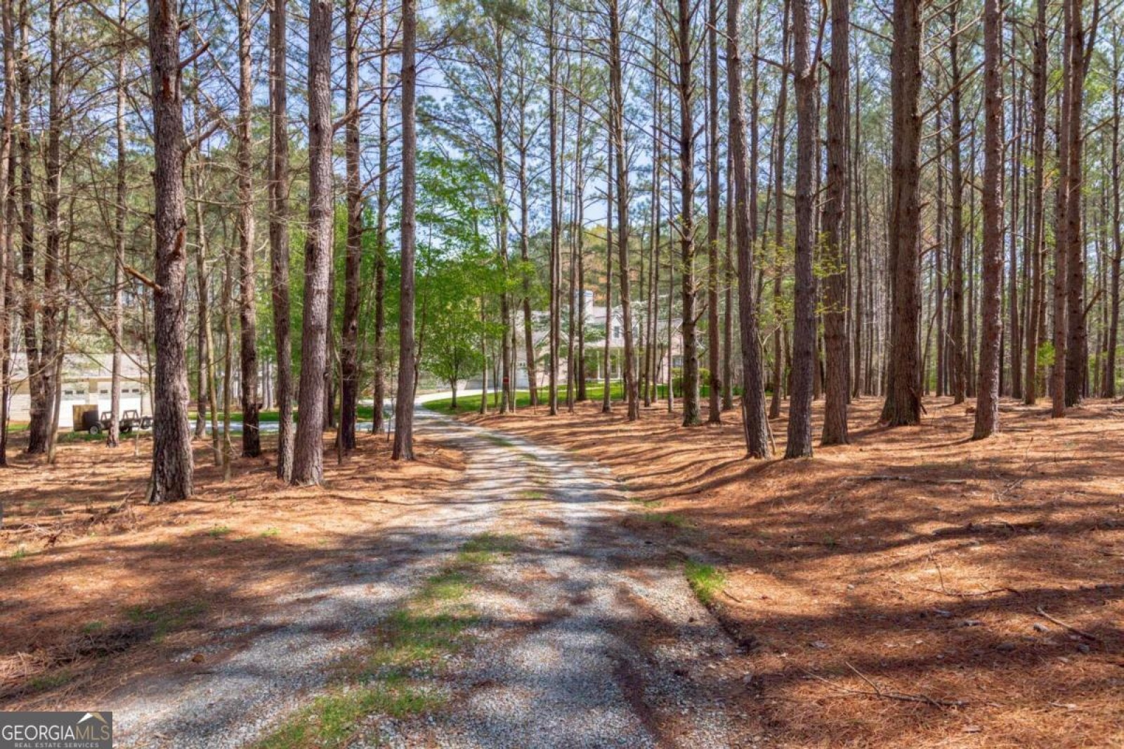 70 Waller Rd Road, Senoia, Georgia 30276, 4 Bedrooms Bedrooms, ,3 BathroomsBathrooms,Residential,For Sale,Waller Rd,9138442